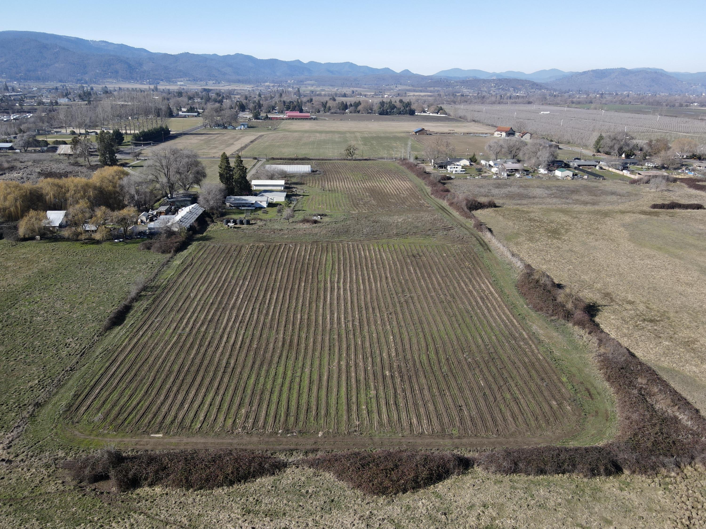 Conveniently located Southern Oregon licensed Cannabis Farm.  This farm is ready for the 2021 season with an active Tier 2 producer license plenty of water, all day sun, flat usable acreage, and plenty of room for expansion.  There is one 30x96 Jefferson state exterior auto dep greenhouse with igrown 800 controller. 24x54 and 35x40 general purpose buildings used as flex space for Cloning, vegging, drying, curing, trimming, and storage. 600 amps single phase currently at the property but 3 phase power is at the property line with plenty of power for all your expansion needs. Don't let this Tier 2 farm slip away. All information is deemed reliable but not guaranteed, buyer to do their own due diligence.