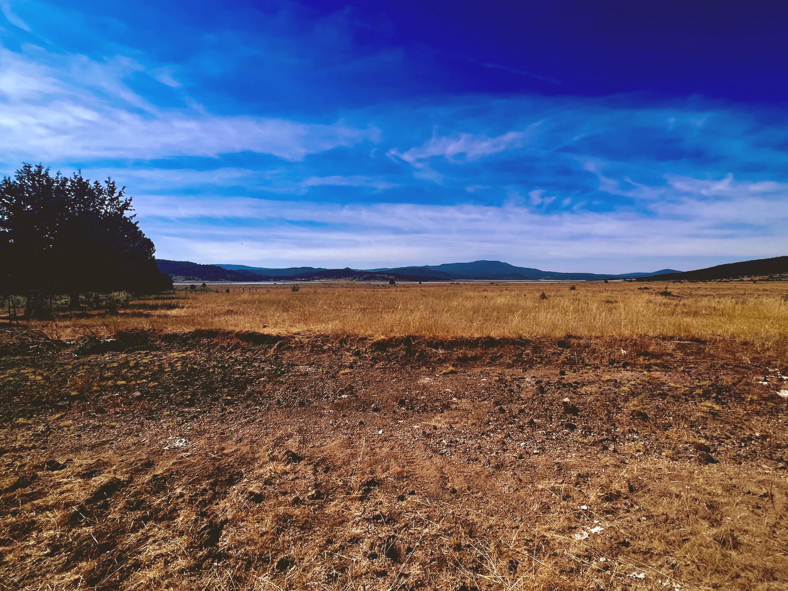 Lake County - Farm