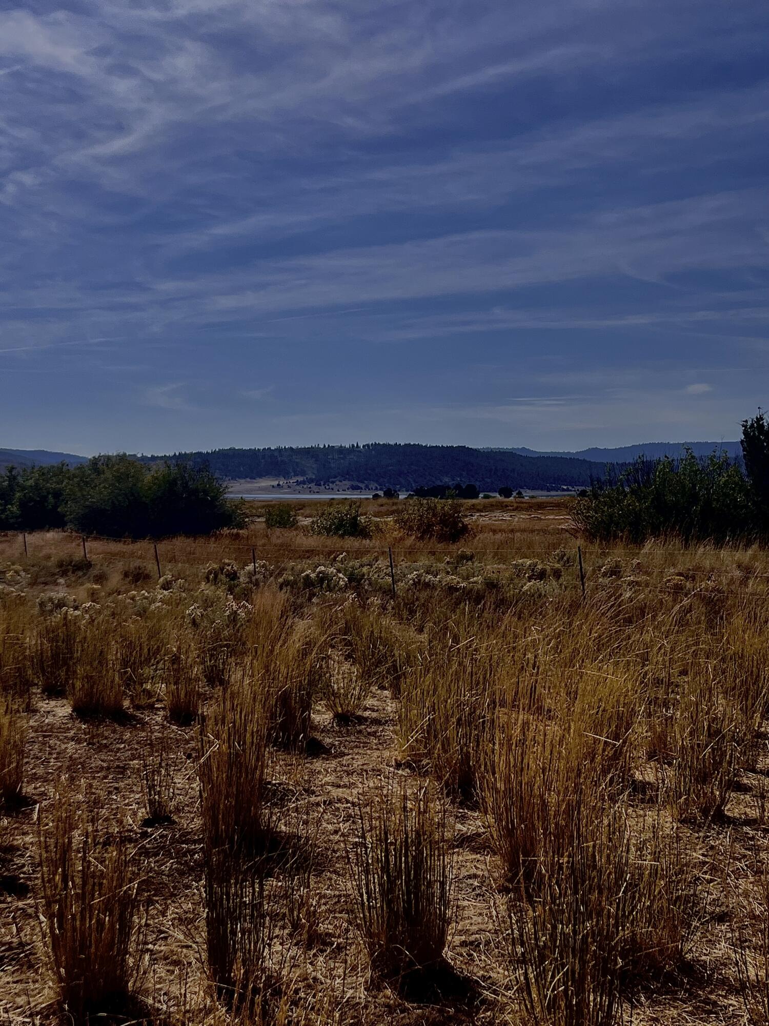 Lake County - Farm