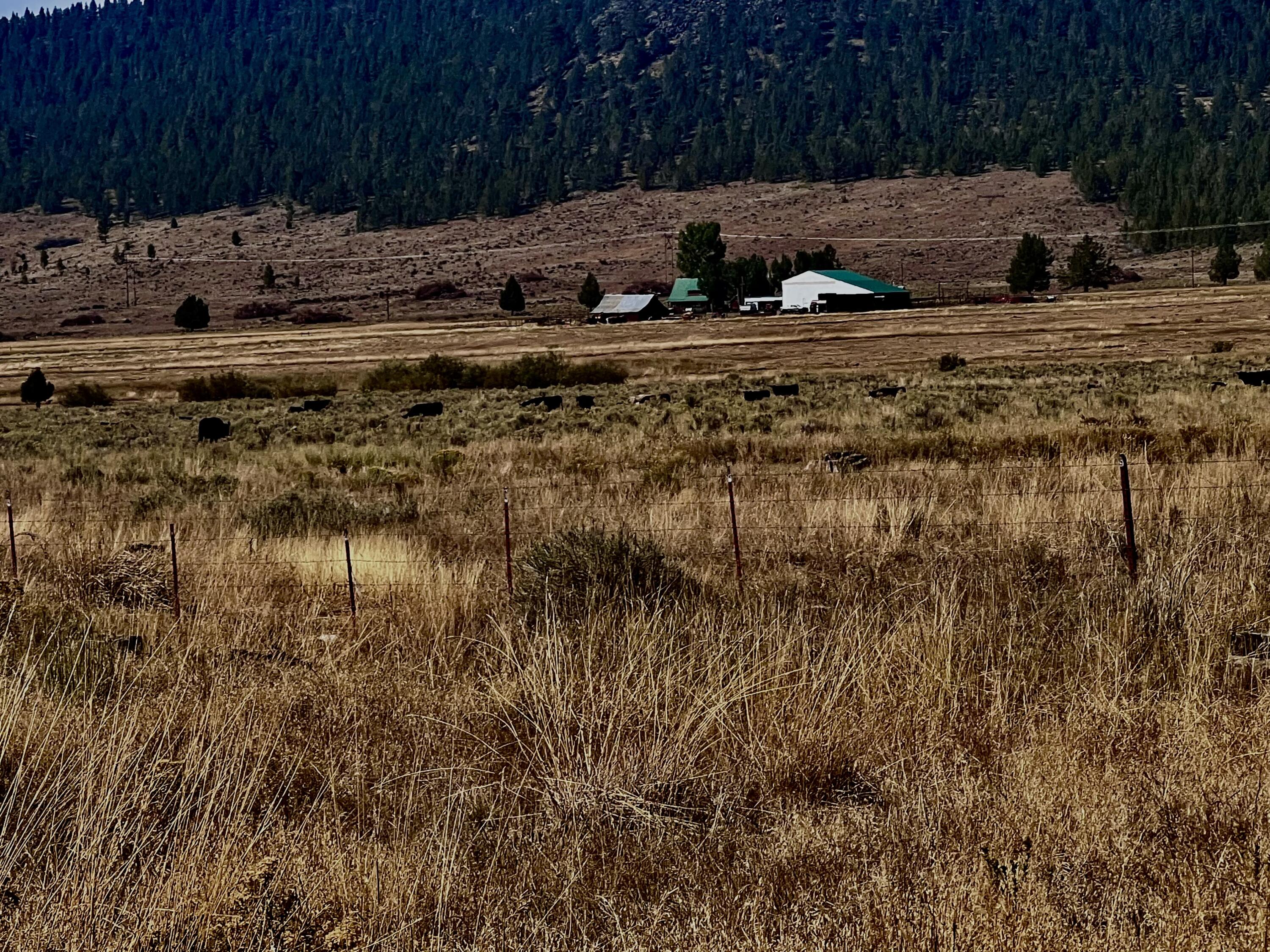 Lake County - Farm
