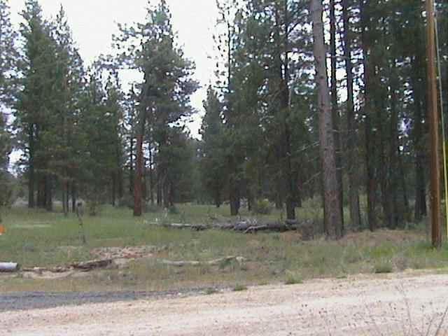 Approximately 4.6 Acres In The Pines, In The Bonanza Area.