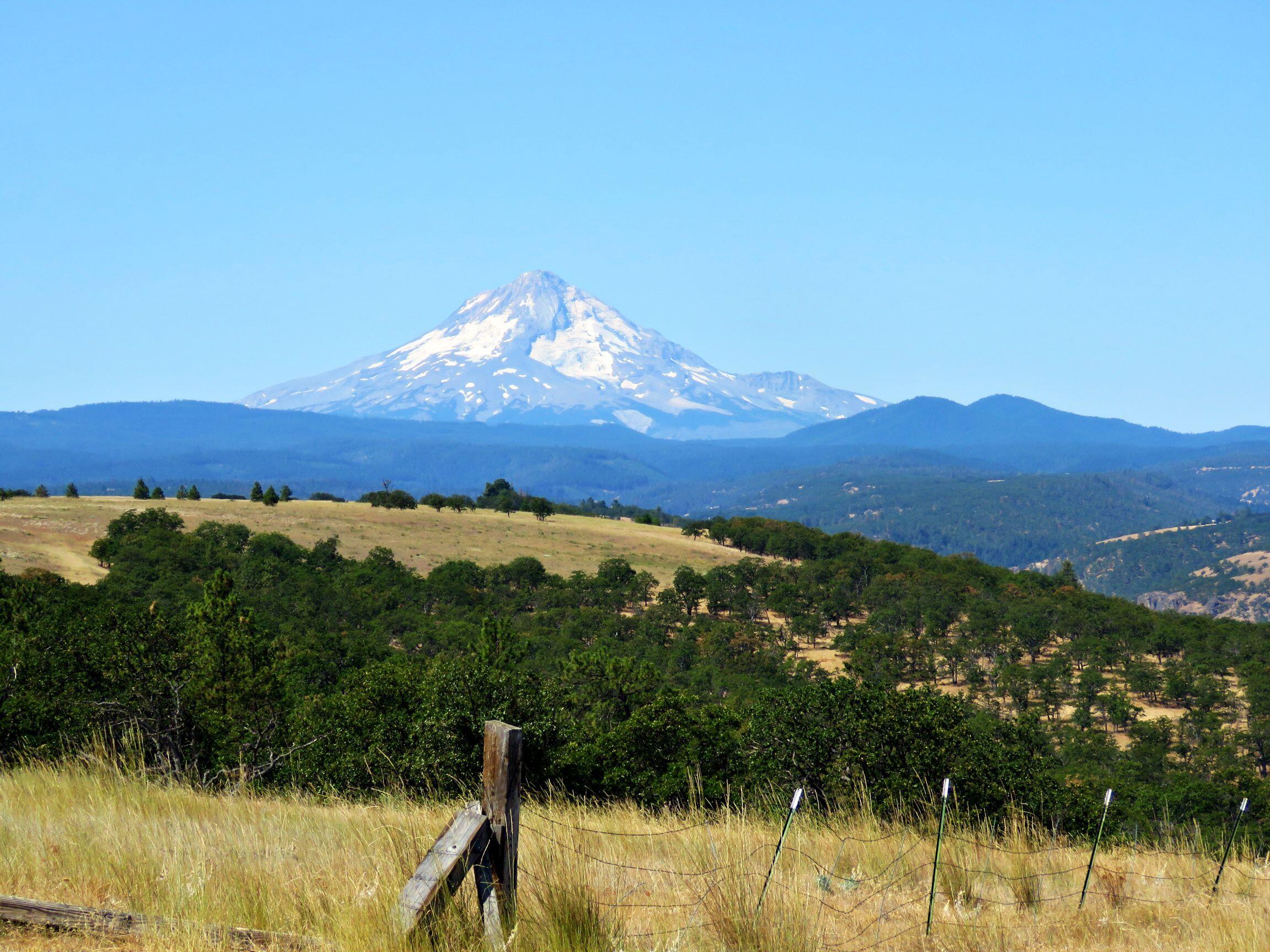 Welcome to Pleasant Ridge Ranch. Within close proximity to Portland and Central Oregon. The location of this property gives the owner ample opportunity to explore all that Oregon and the Pacific Northwest has to offer. This gorgeous +/-714 acre property is a combination of timbered canyons and draws to gently rolling tillable ground. The mix of Oak and Pine trees and native plants/grasses creates a wonderful habitat for wildlife. This property is home to Deer, Elk, Wild Turkey, Black Bear, Mountain Lion, Bobcat, and Upland Birds. 3 LOP tags for both Deer and Elk (Buyer to verify with ODFW). Improvements include 2 Log Homes and a Shop. The first Log Home consists of 2773 sq ft with 3 beds and 3 baths. The second Lodge style Log Home consists of 3302 sq ft with 3 beds and 1.5 baths. A 2400 sq ft shop with plenty of room for parking and storage. This is an ideal property for a family compound or someone looking to create a hunting club and/or rural retreat.
