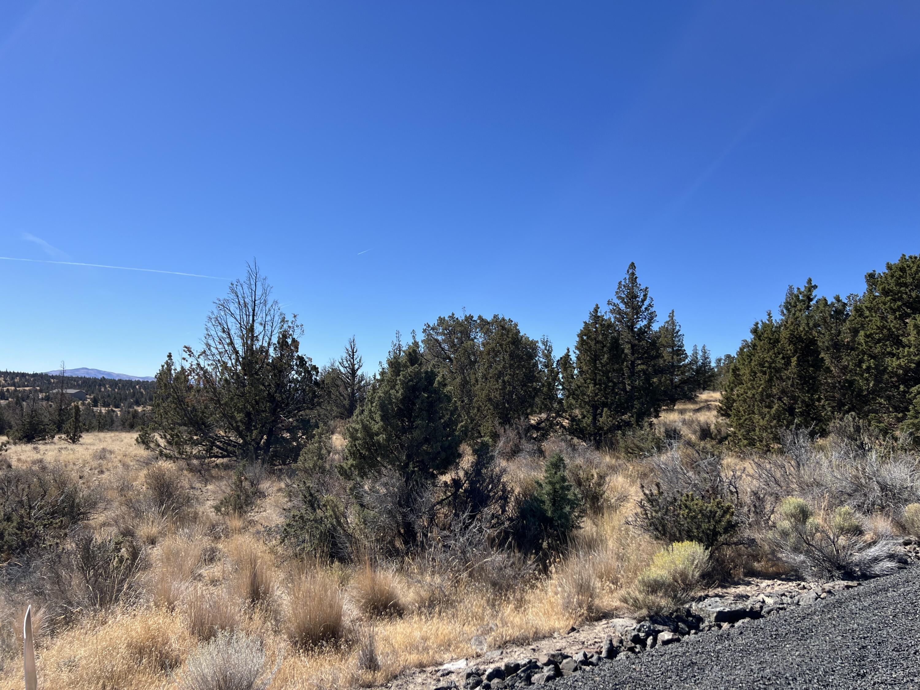 Longhorn Ridge - Land