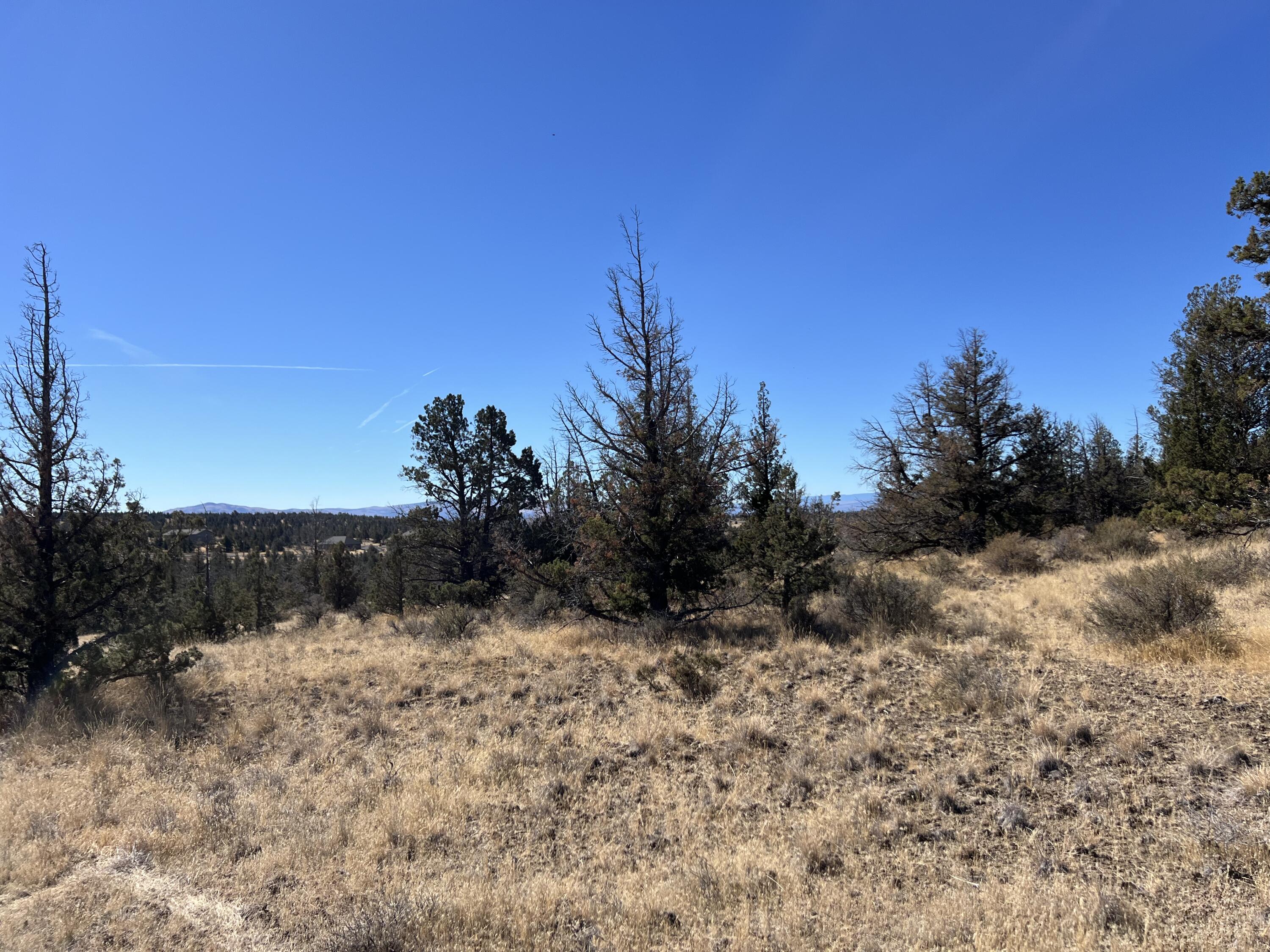 Longhorn Ridge - Land