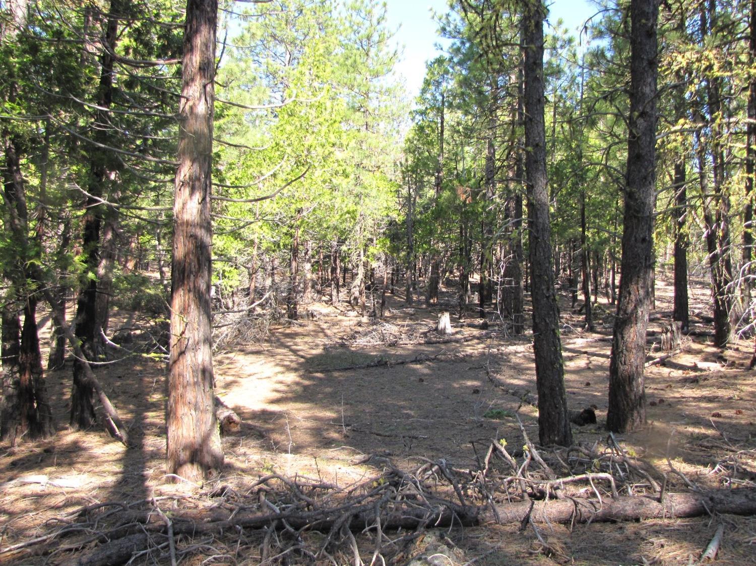 Side by side lots 58 & 59 where peace and quiet abounds, great location for whatever you may choose to do with this nice piece of property. Short drive into Bonanza and Klamath Falls, many live in the area year around and commute. Just waiting for you to turn it into something special. Owner is motivated so bring an offer! Owner is not interested in carrying papers on these lots. Great property for off-grid.