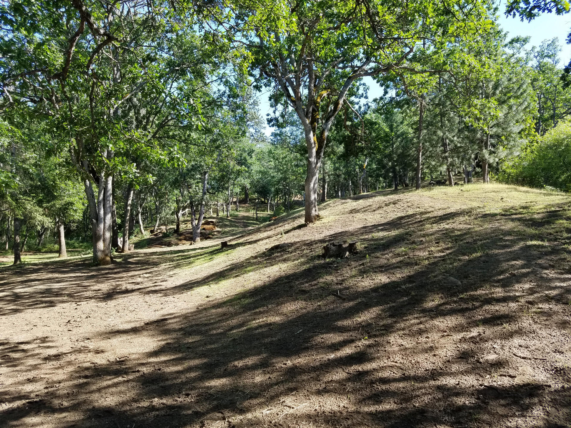 Sunny Oaks Subdivision - Residential