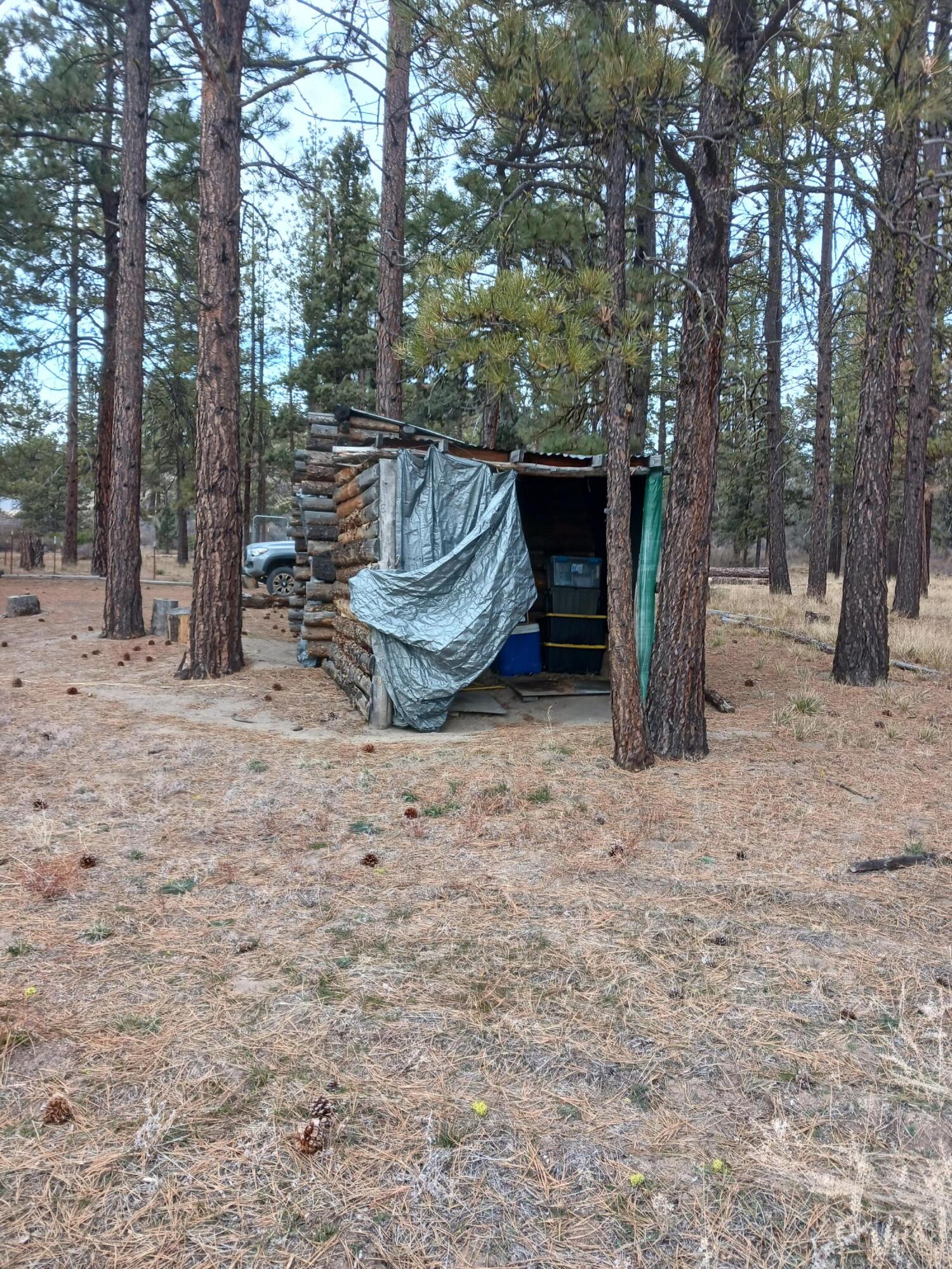 Oregon Pines - Land