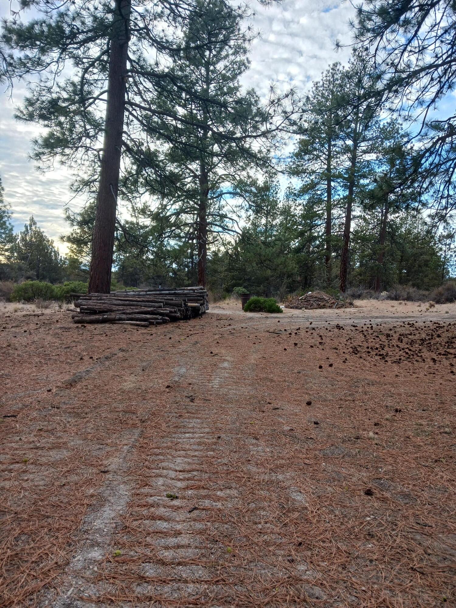 Oregon Pines - Land