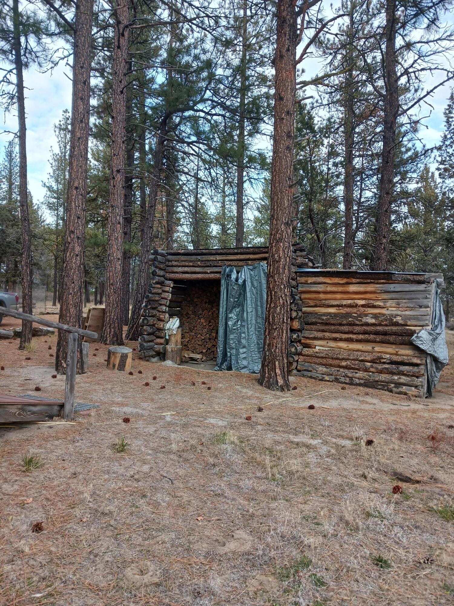 Oregon Pines - Land