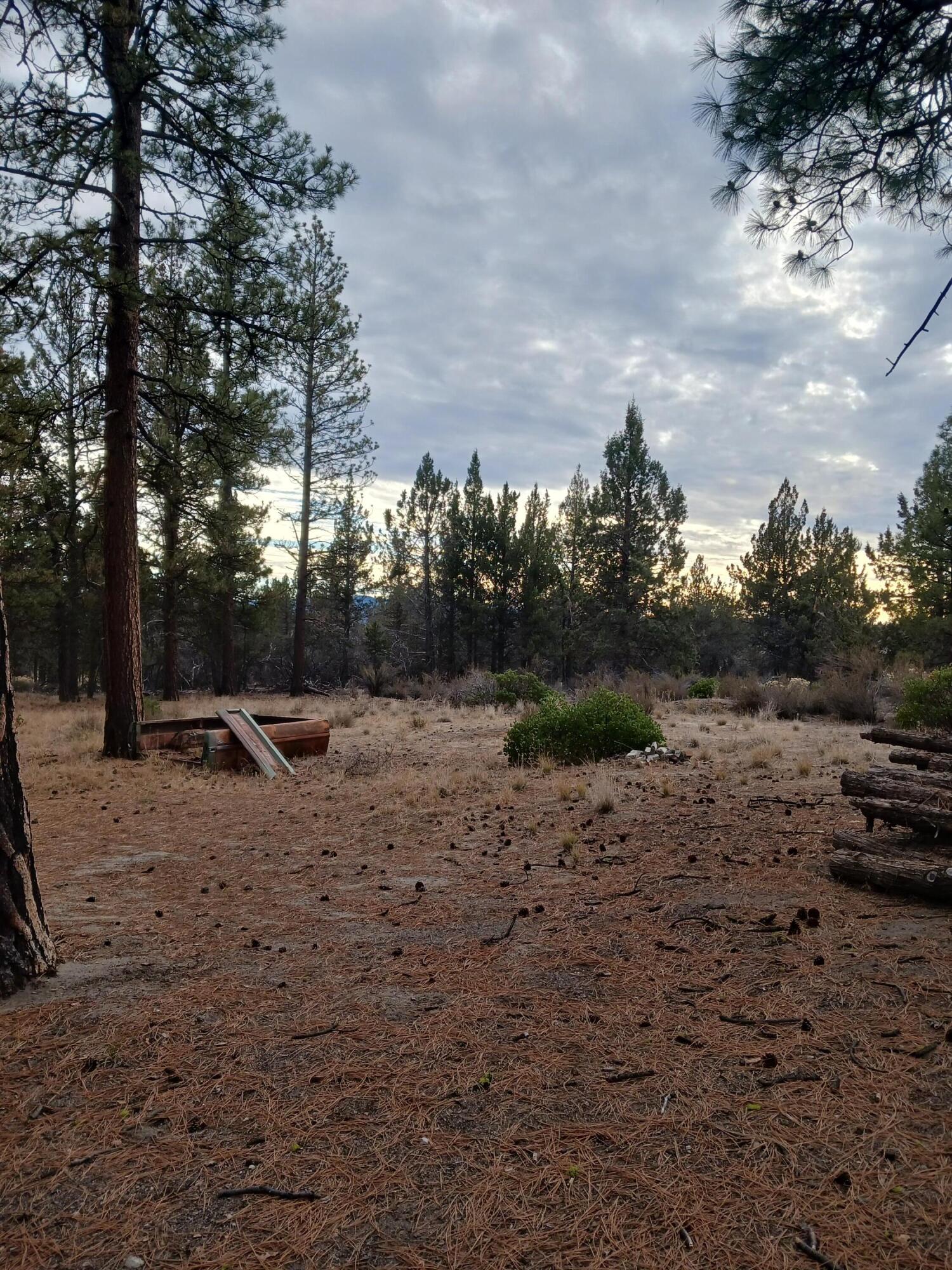 Oregon Pines - Land