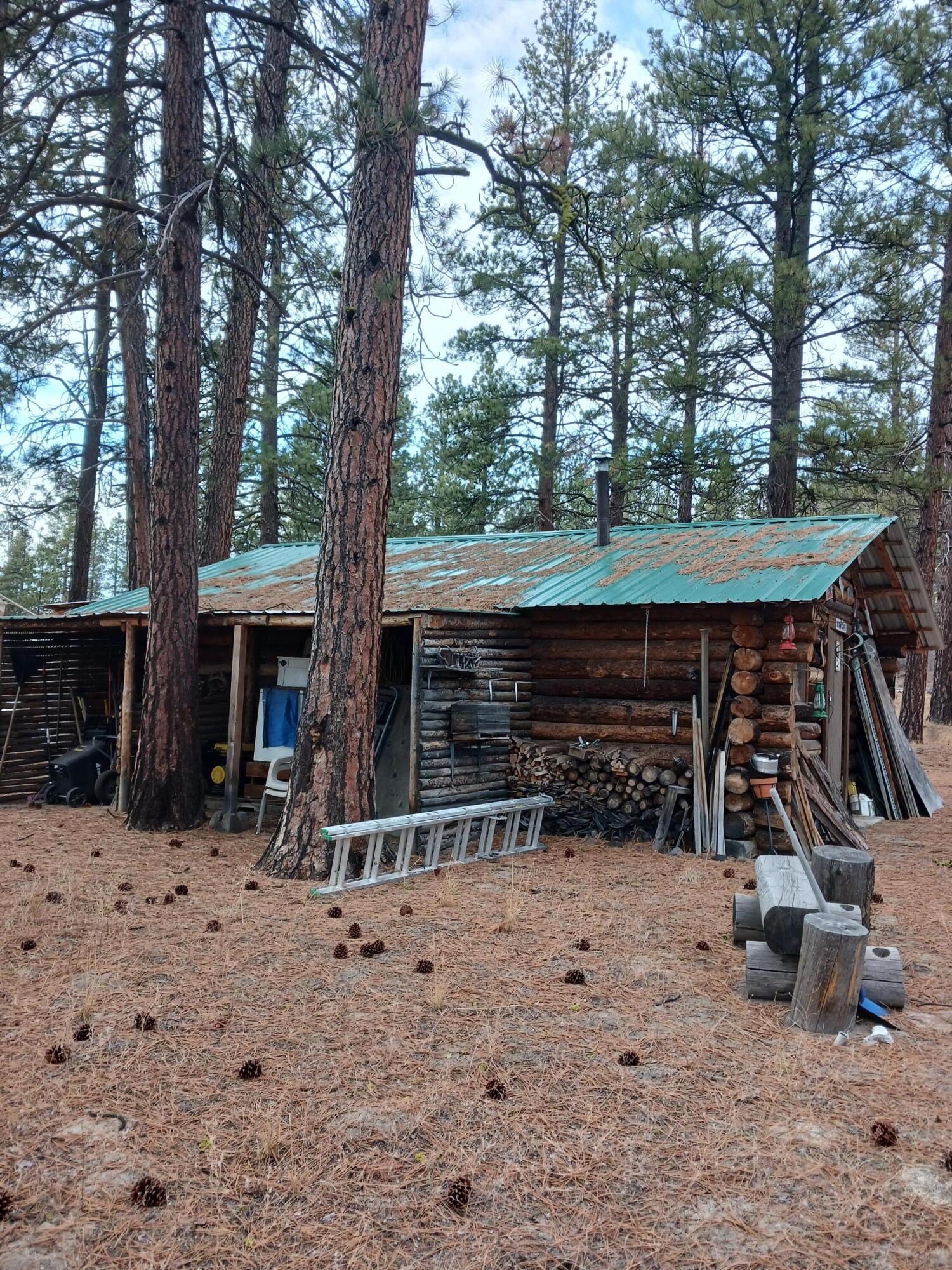Oregon Pines - Land