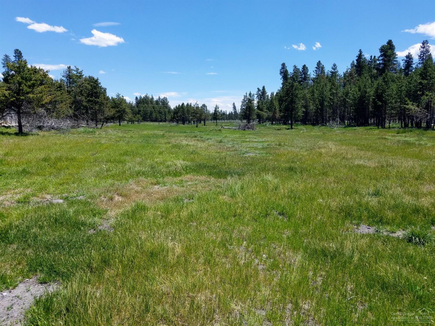 5 acres of build-able land with nice meadow setting! Property backs up to federal reserved land. Come look today!