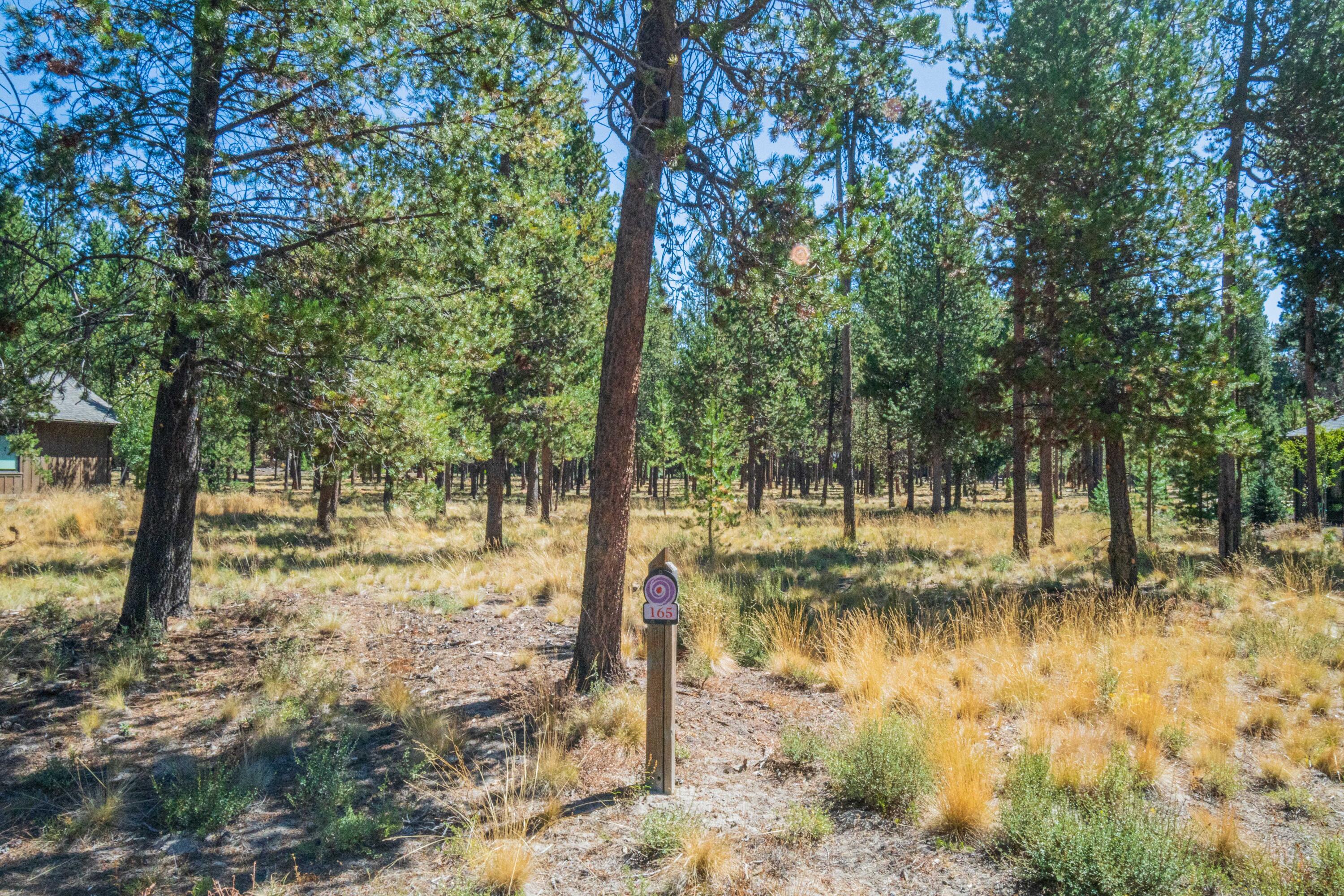 Discover the allure of Caldera Springs with this prime .41-acre (+/-) homesite in the prestigious first phase. This property comes with thoughtfully crafted plans for a stunning 3,400 sq. ft. home featuring 4 bedrooms, 4.5 bathrooms, and design considerations that harmonize with neighboring homes. Surrounded by the natural beauty of Caldera Springs, you'll have access to top-tier amenities, including scenic trails, paddleboarding, golf, and the newly opened Forest House, offering a vibrant hub for recreation and relaxation. Caldera Springs perfectly captures the spirit of Central Oregon living, offering an unparalleled lifestyle in a community designed for those who seek the best.