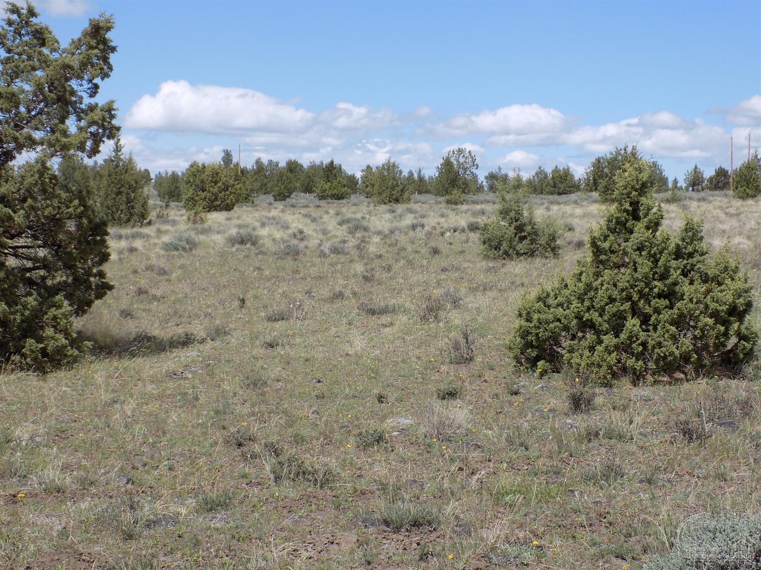 Ochoco Land + Livest - Land