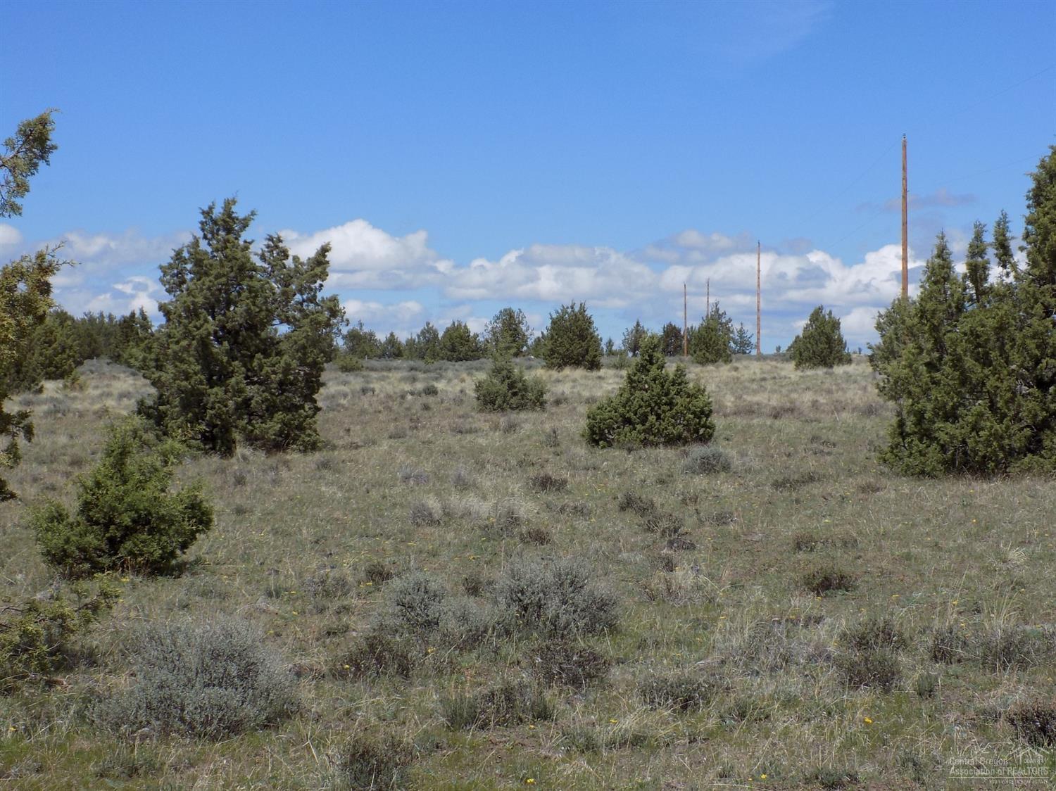 Ochoco Land + Livest - Land