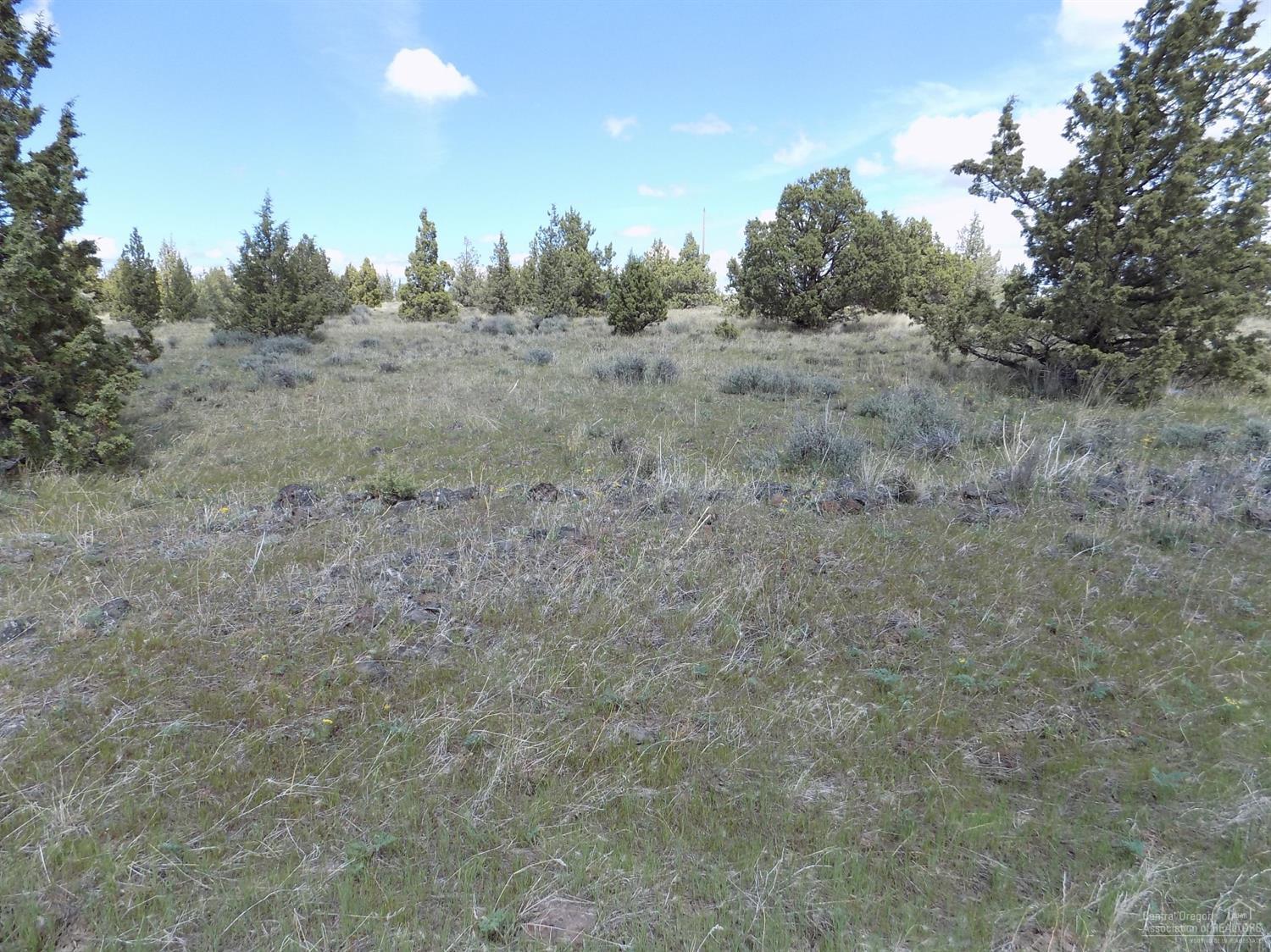 Ochoco Land + Livest - Land