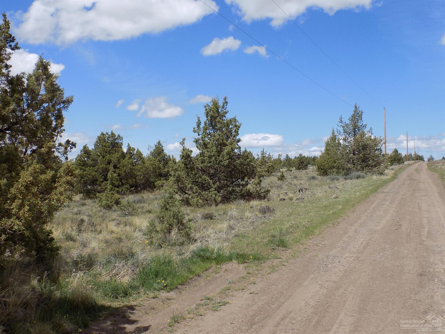 Ochoco Land + Livest - Land