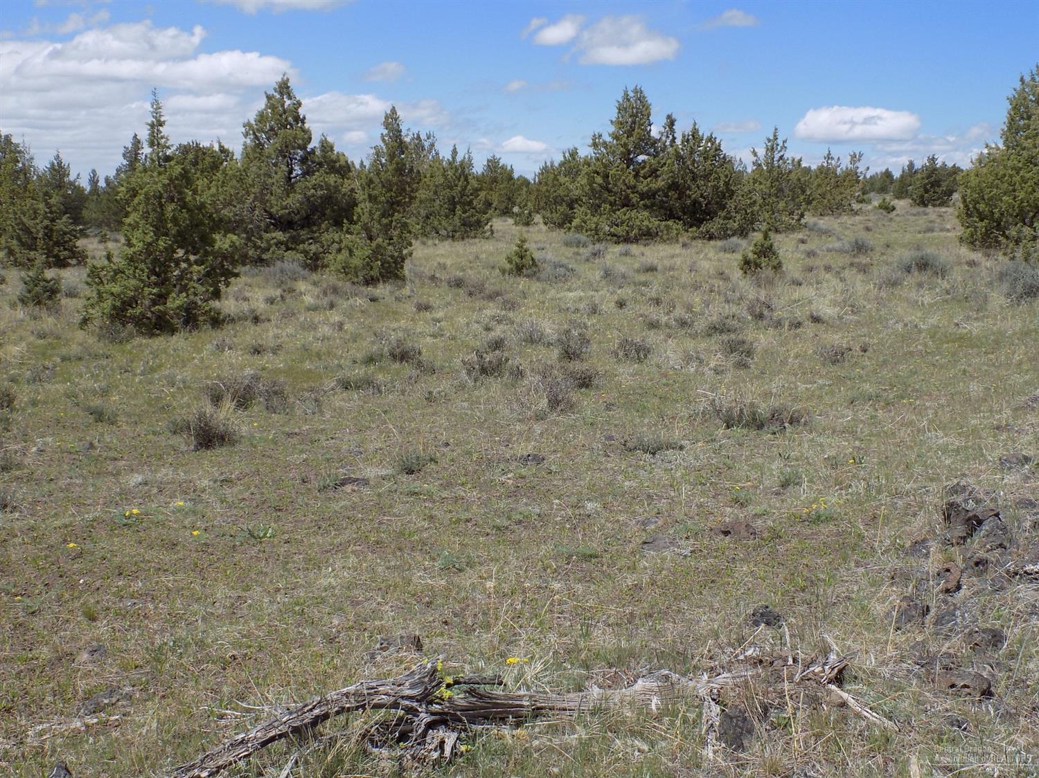 Ochoco Land + Livest - Land