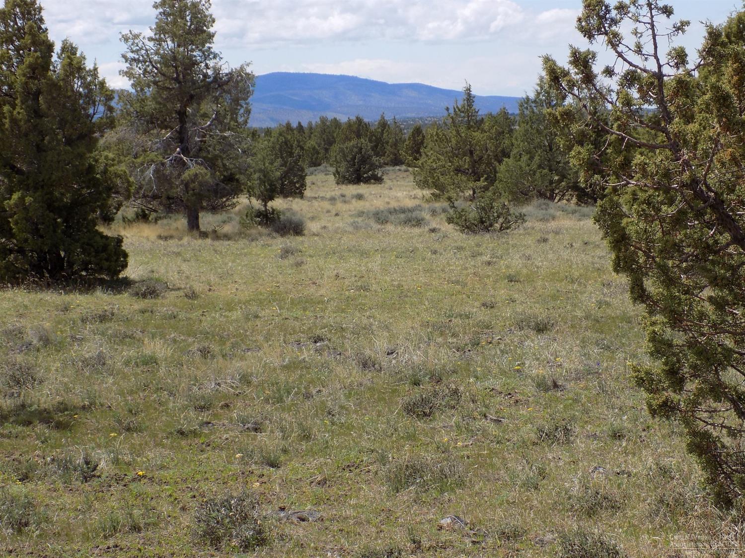 Ochoco Land + Livest - Land