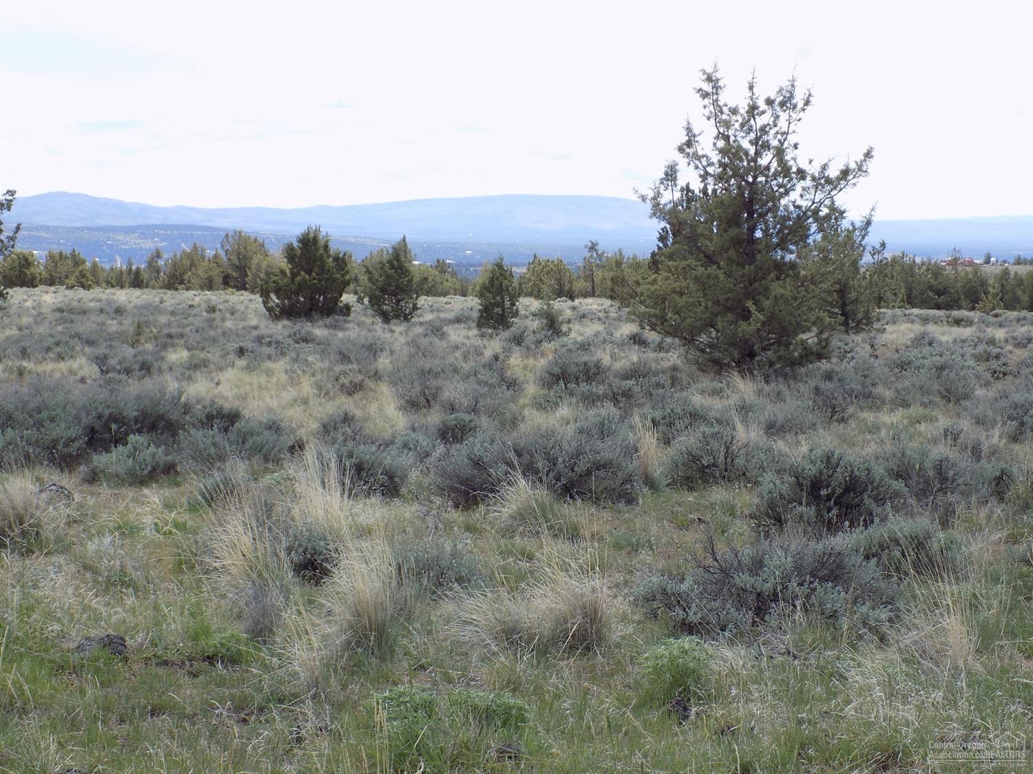 Ochoco Land + Livest - Land