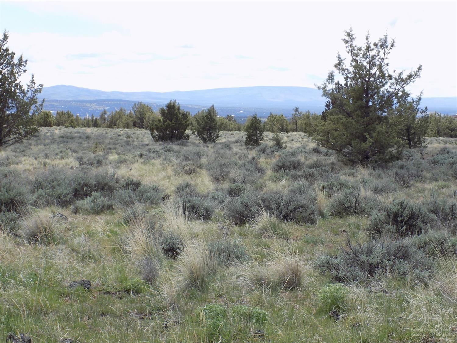 Ochoco Land + Livest - Land