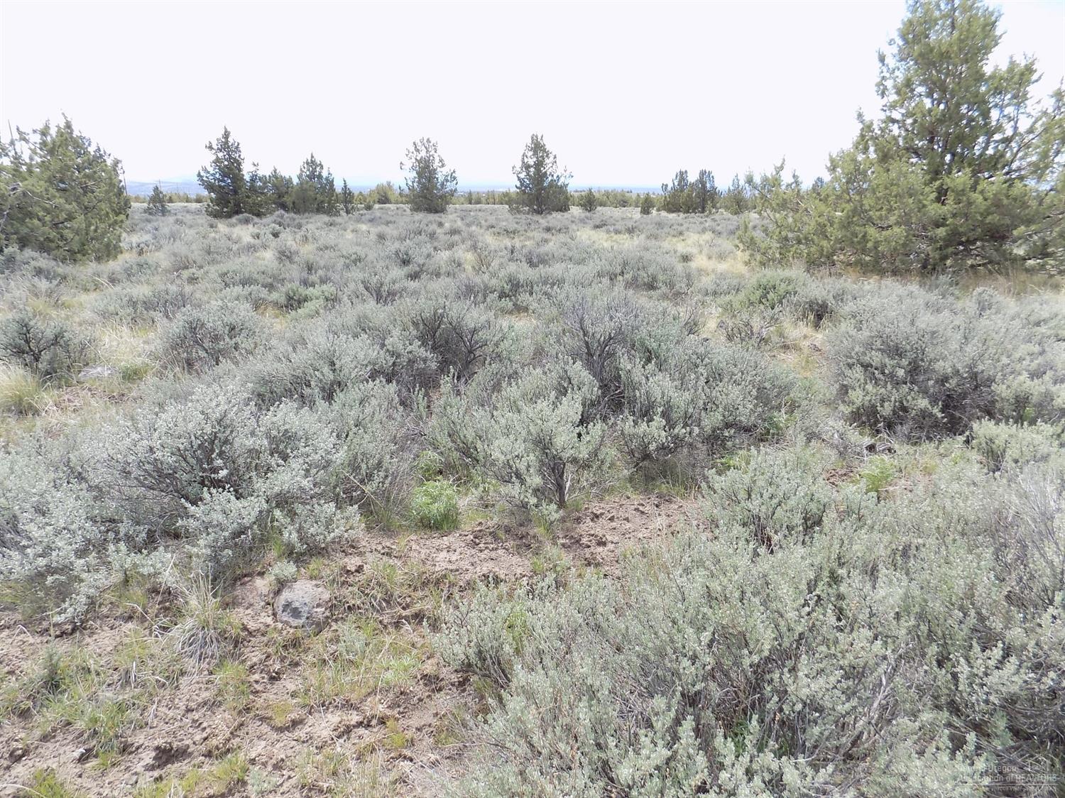 Ochoco Land + Livest - Land