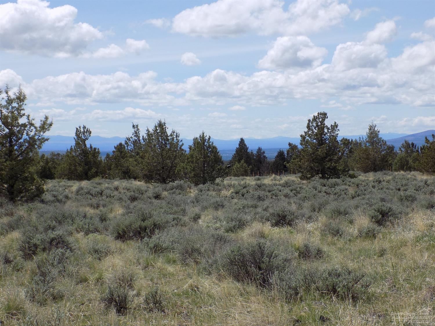 10 acres with a view in Ochoco Land and Livestock! Corner lot with power running the full length of 2 sides! Area of good wells, no HOA's or CC&R's, animals allowed! Call today to see the property!