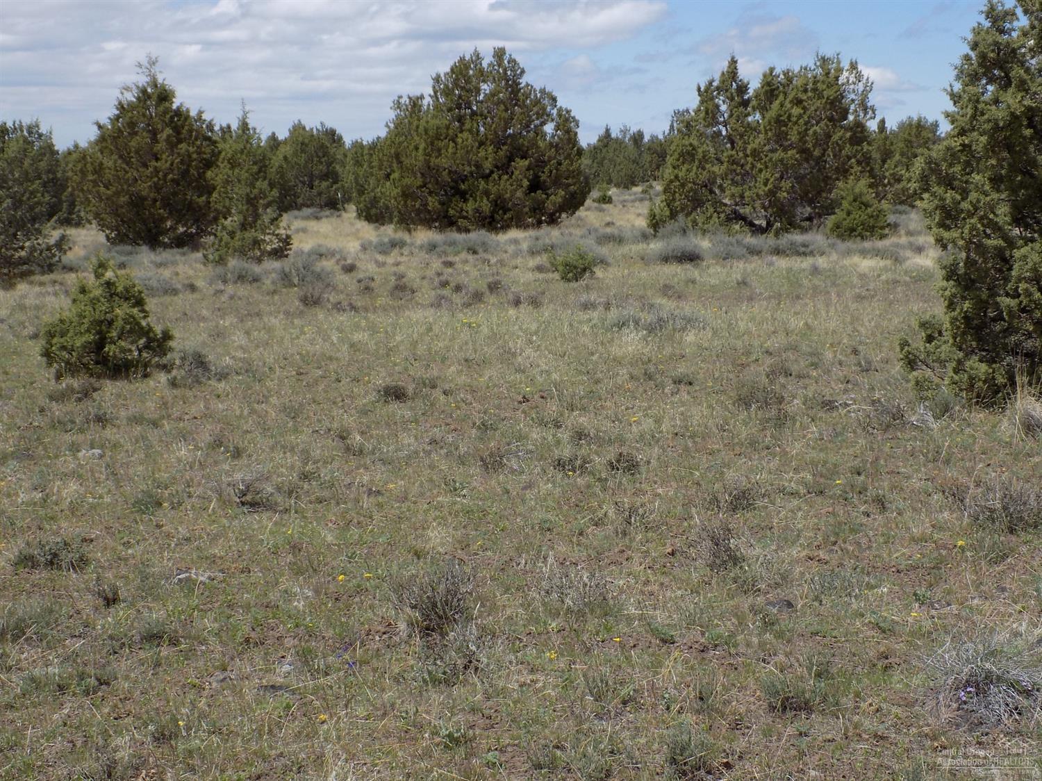 Ochoco Land + Livest - Land