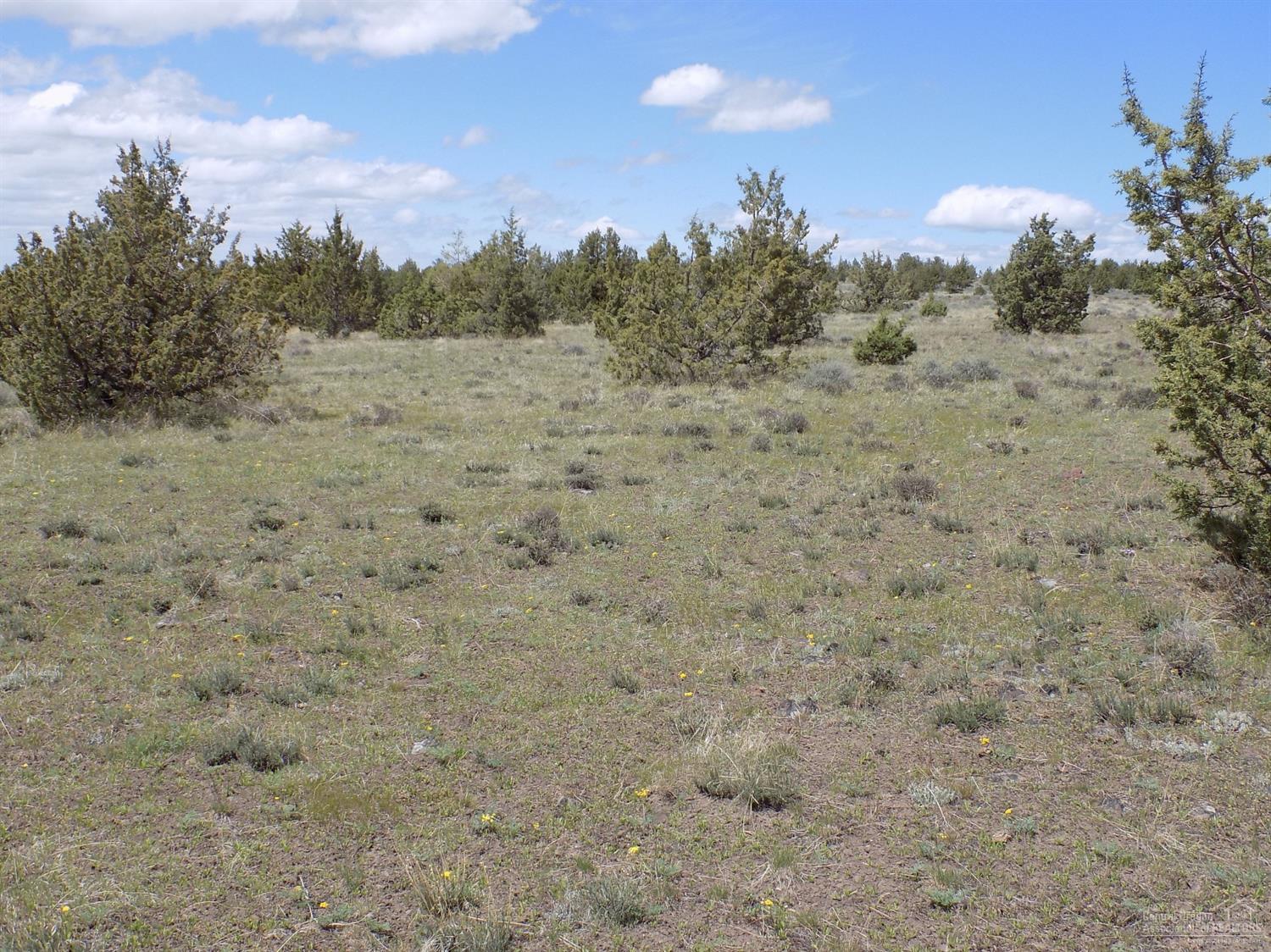 Ochoco Land + Livest - Land