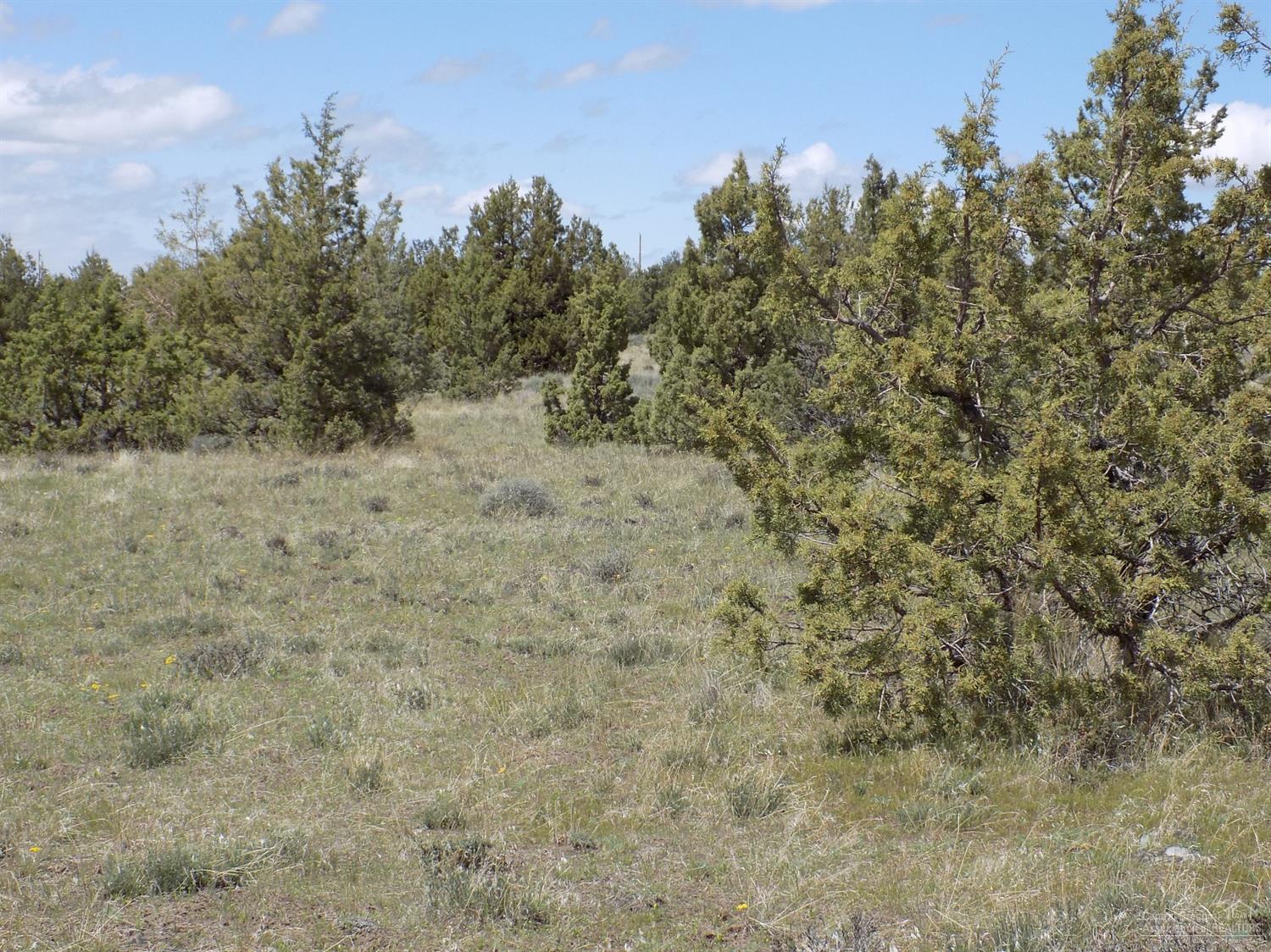 Ochoco Land + Livest - Land