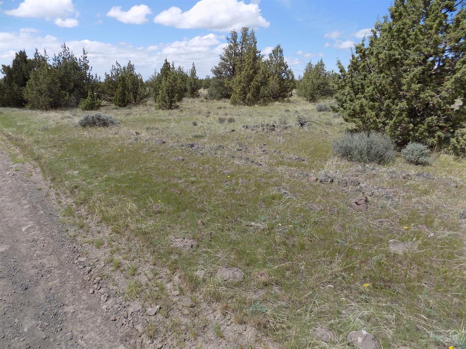 Ochoco Land + Livest - Land