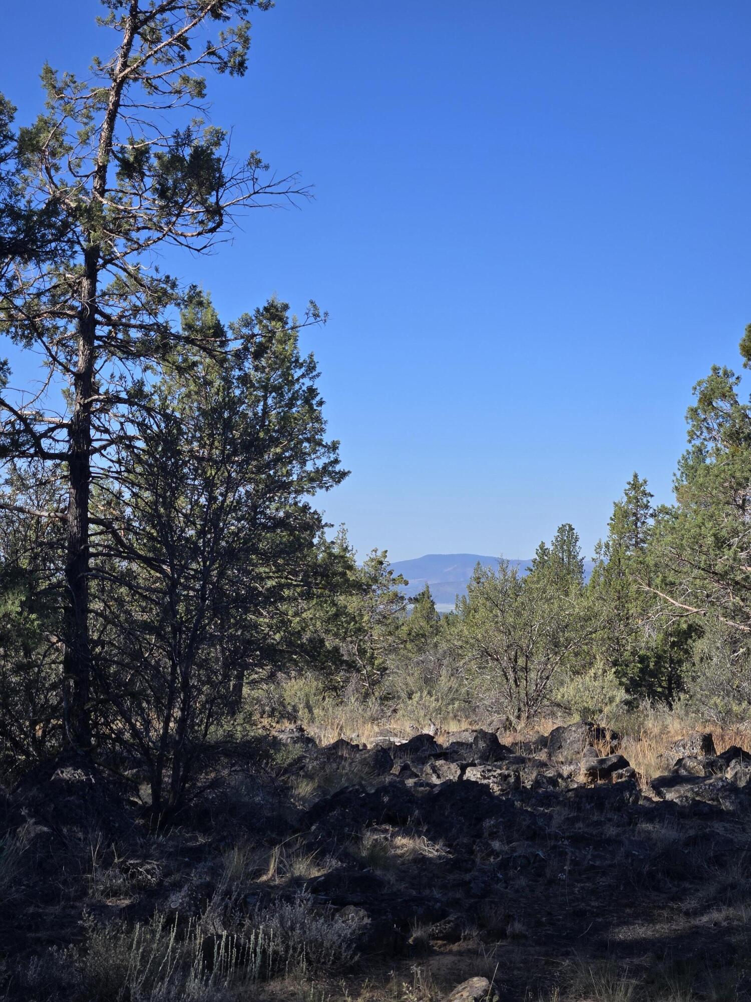 Klamath Falls Forest Estates -Hwy 66 Unit -Plat No. 1 - Residential