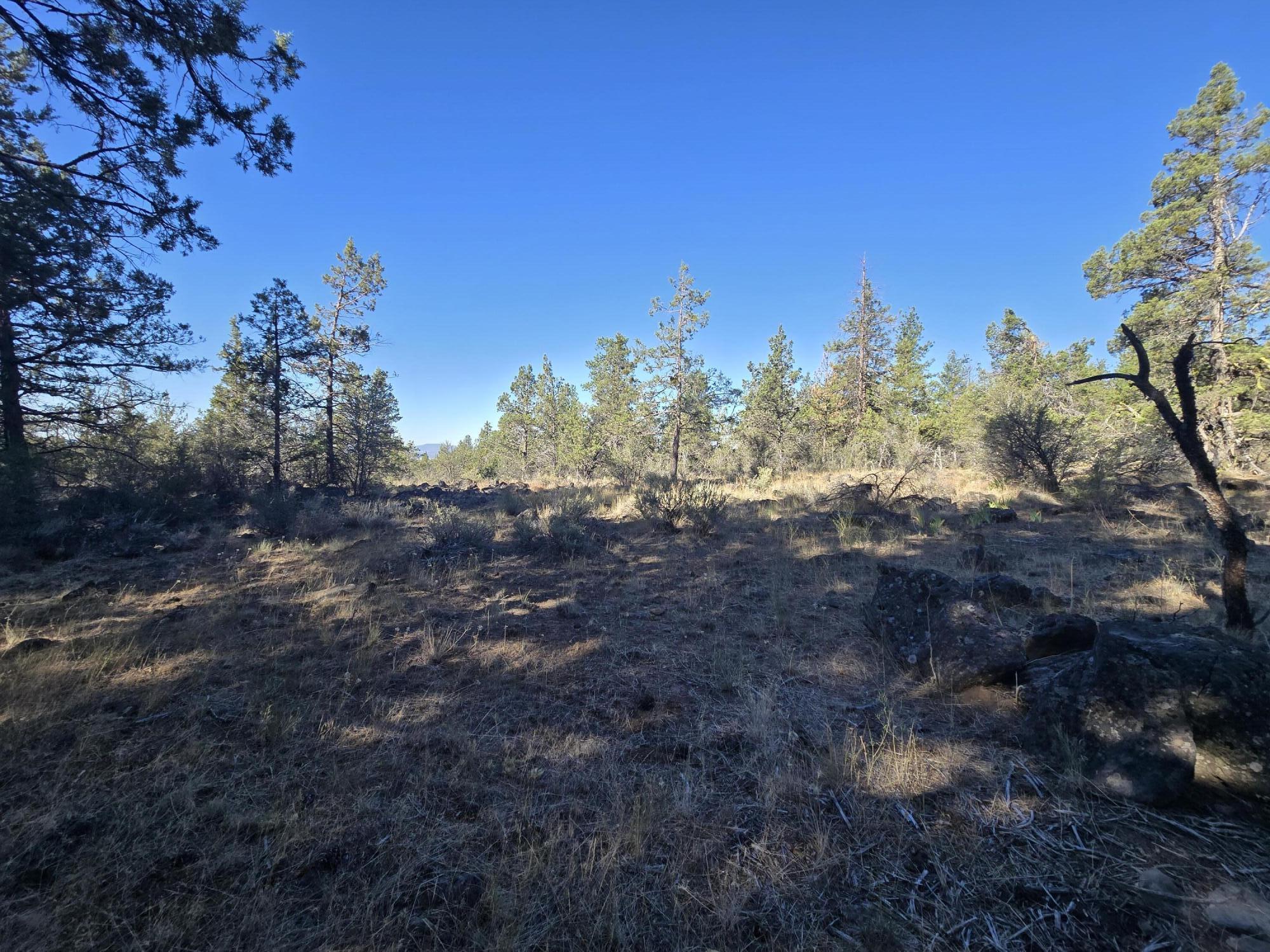 Klamath Falls Forest Estates -Hwy 66 Unit -Plat No. 1 - Residential