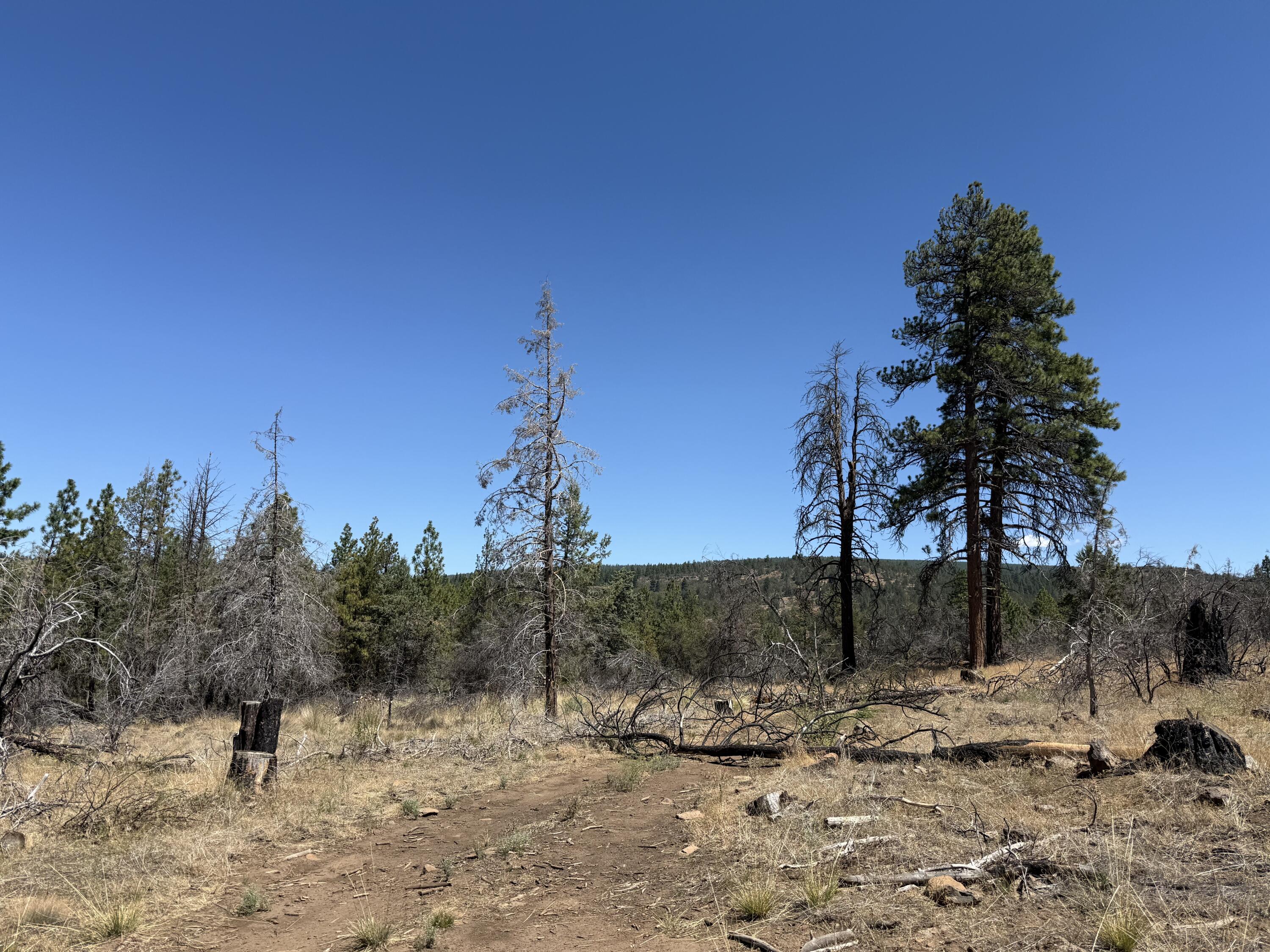 Klamath Falls Forest Estates Hwy 66 Unit Plat 4 - Land