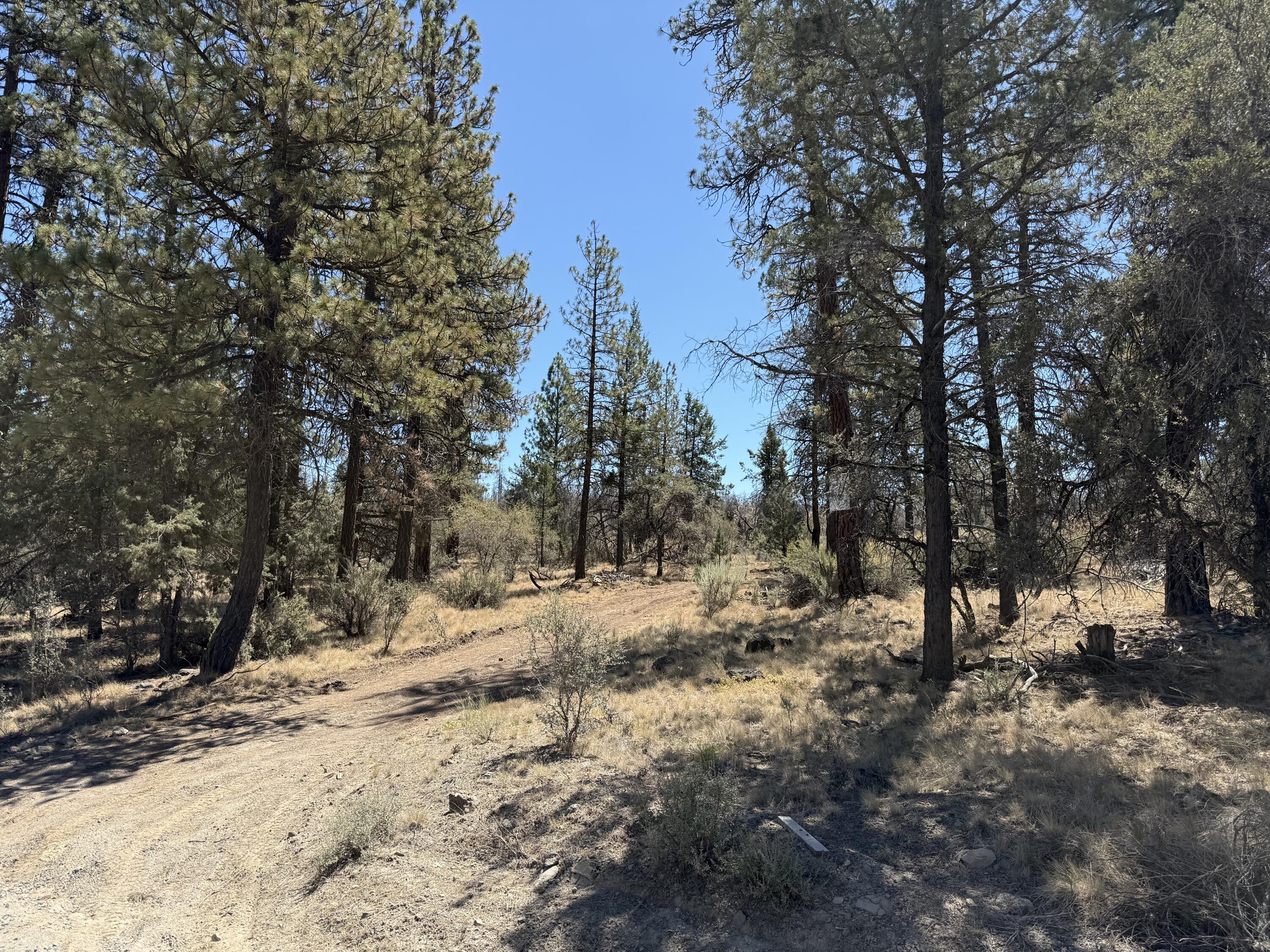 Klamath Falls Forest Estates Hwy 66 Unit Plat 4 - Land