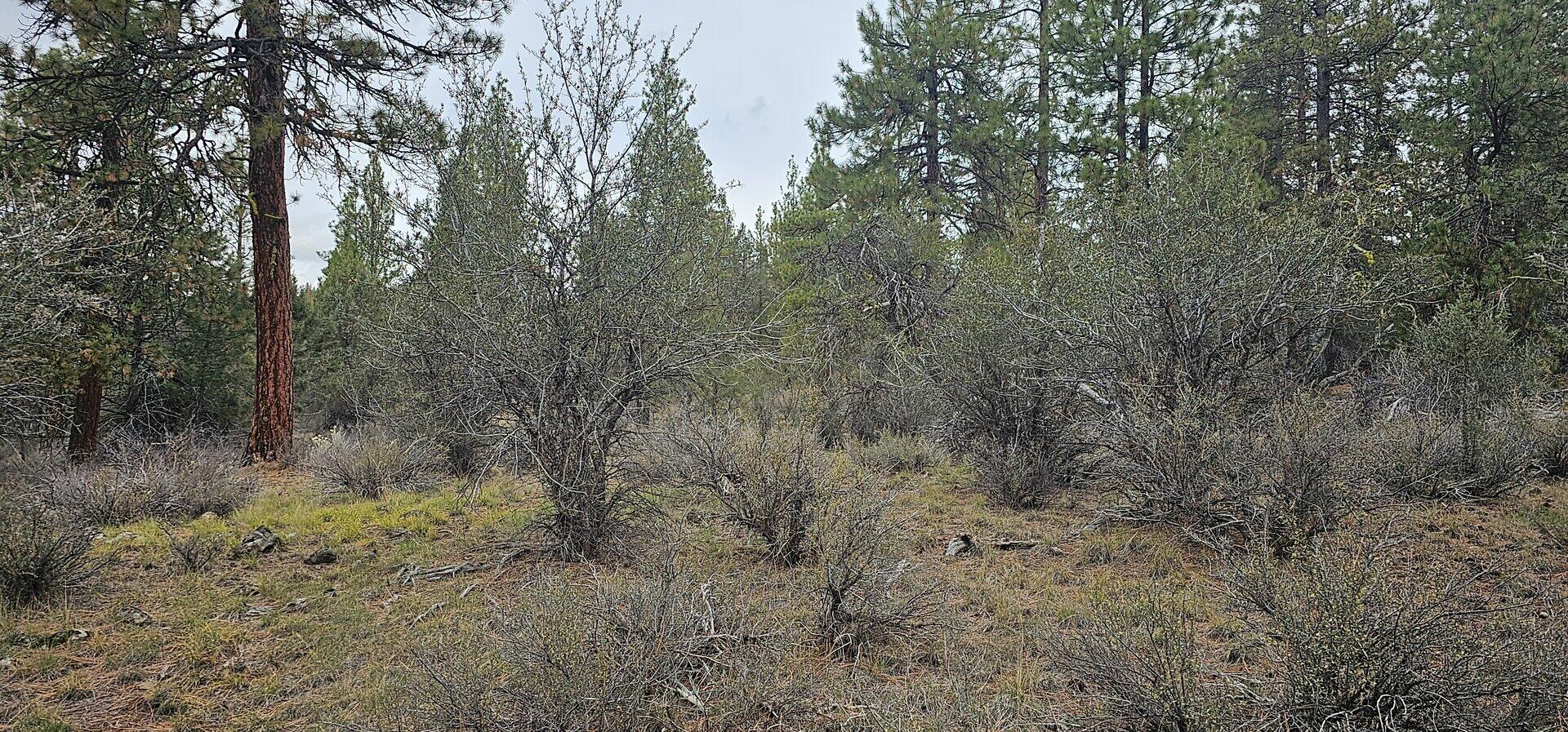 Klamath Falls Forest Estates Hwy 66 Unit Plat 4 - Land
