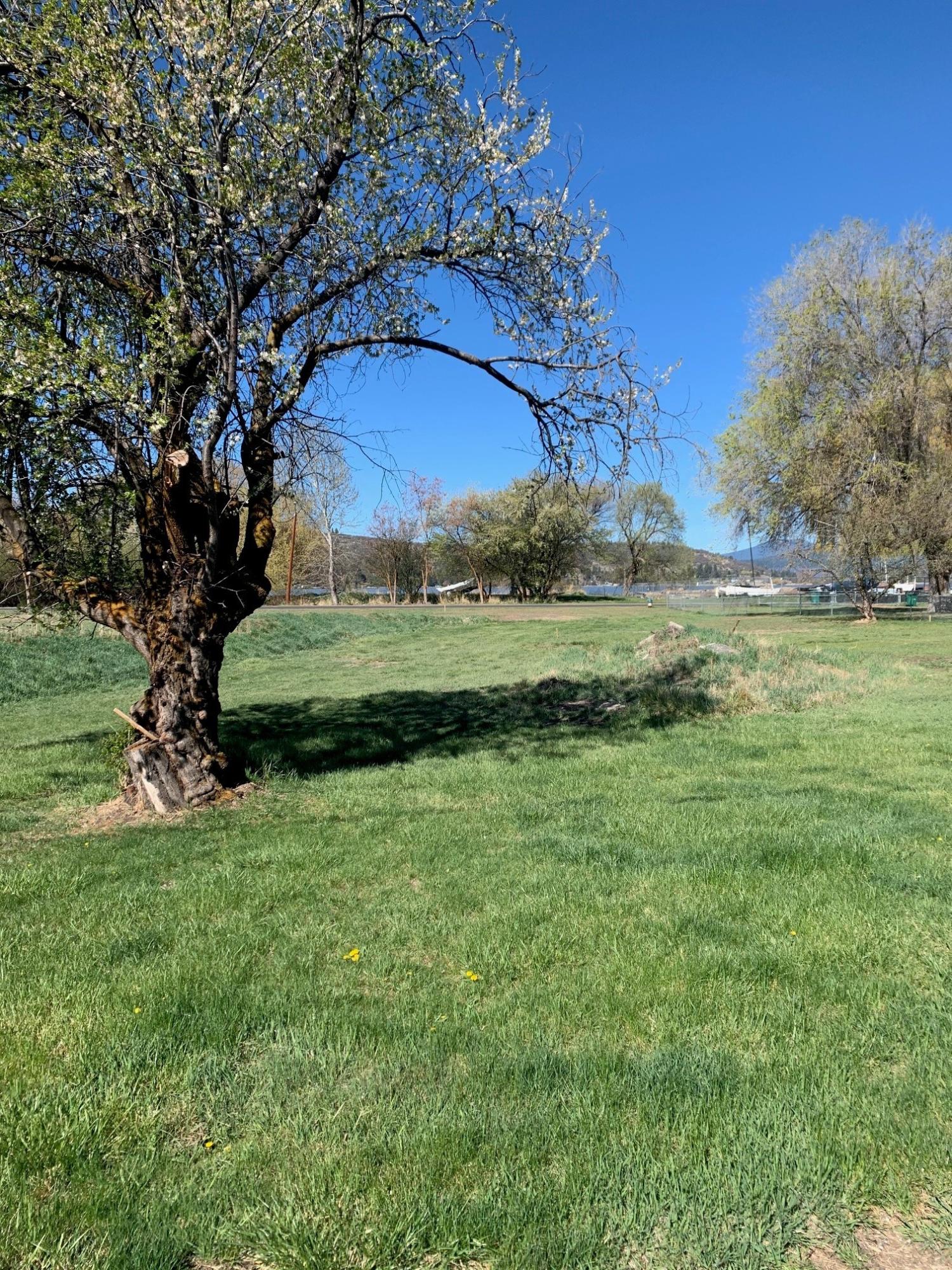 Klamath Falls -Buena Vista Addition - Land