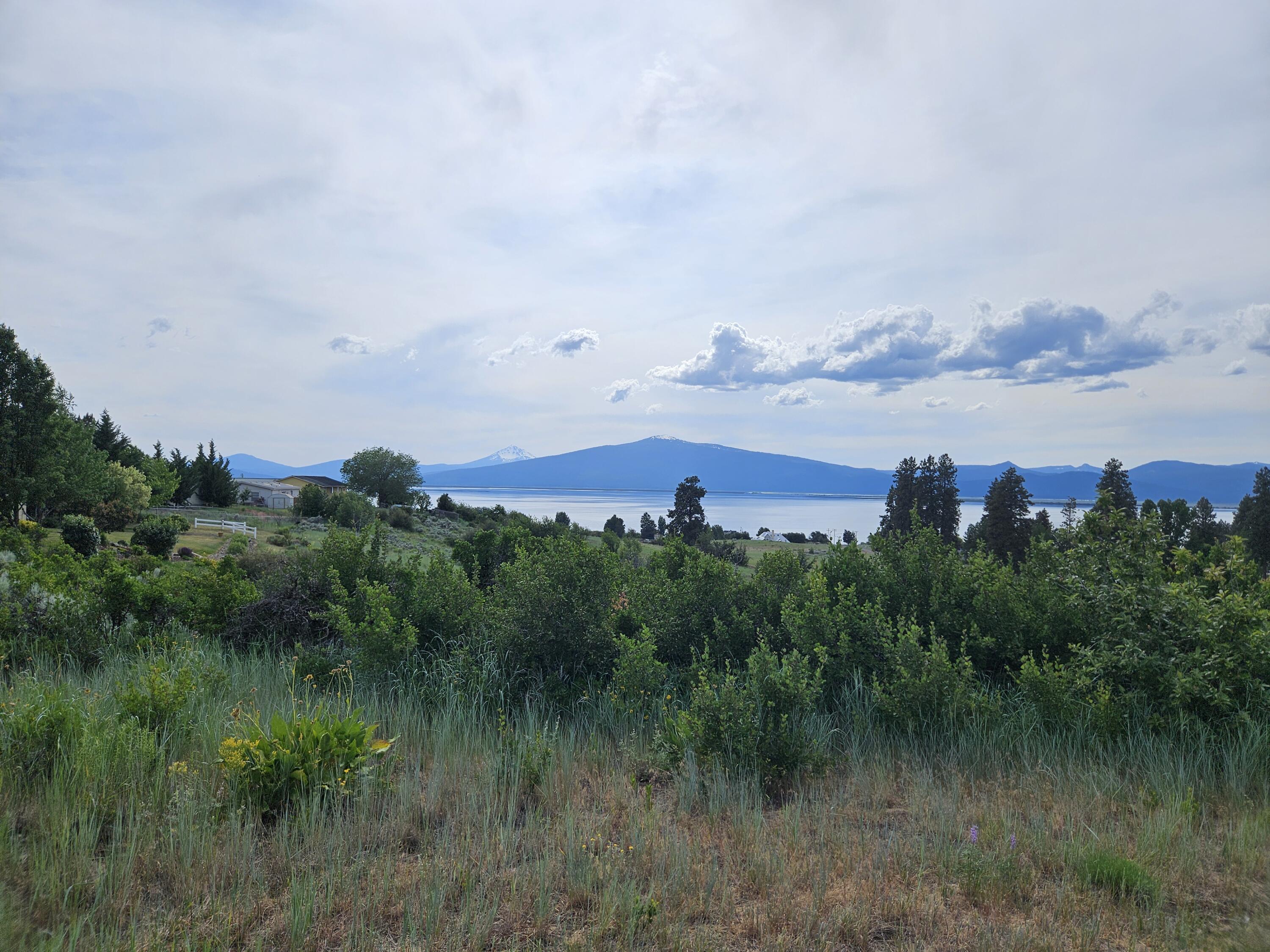 Oregon Shores - Land