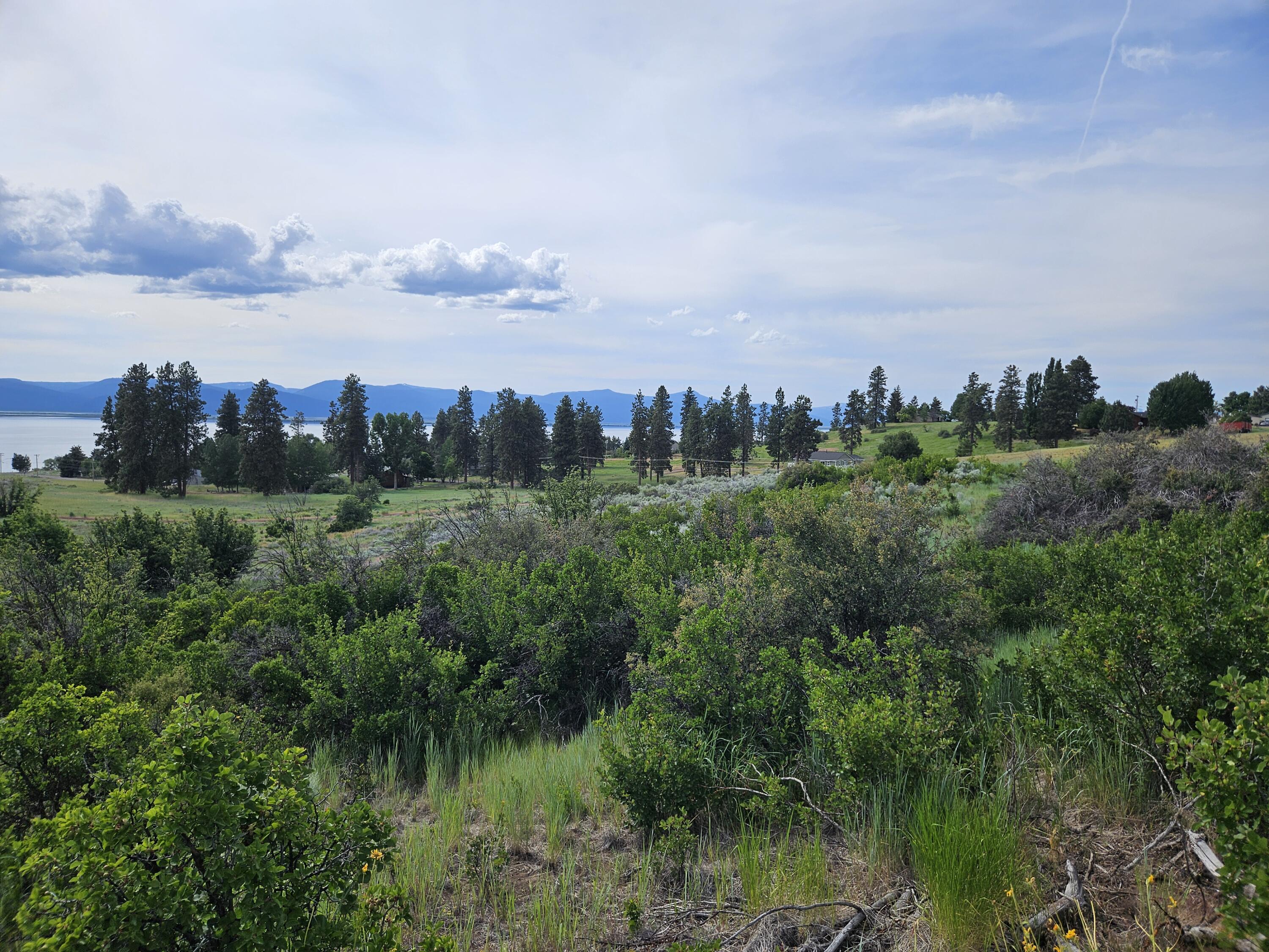 Oregon Shores - Land