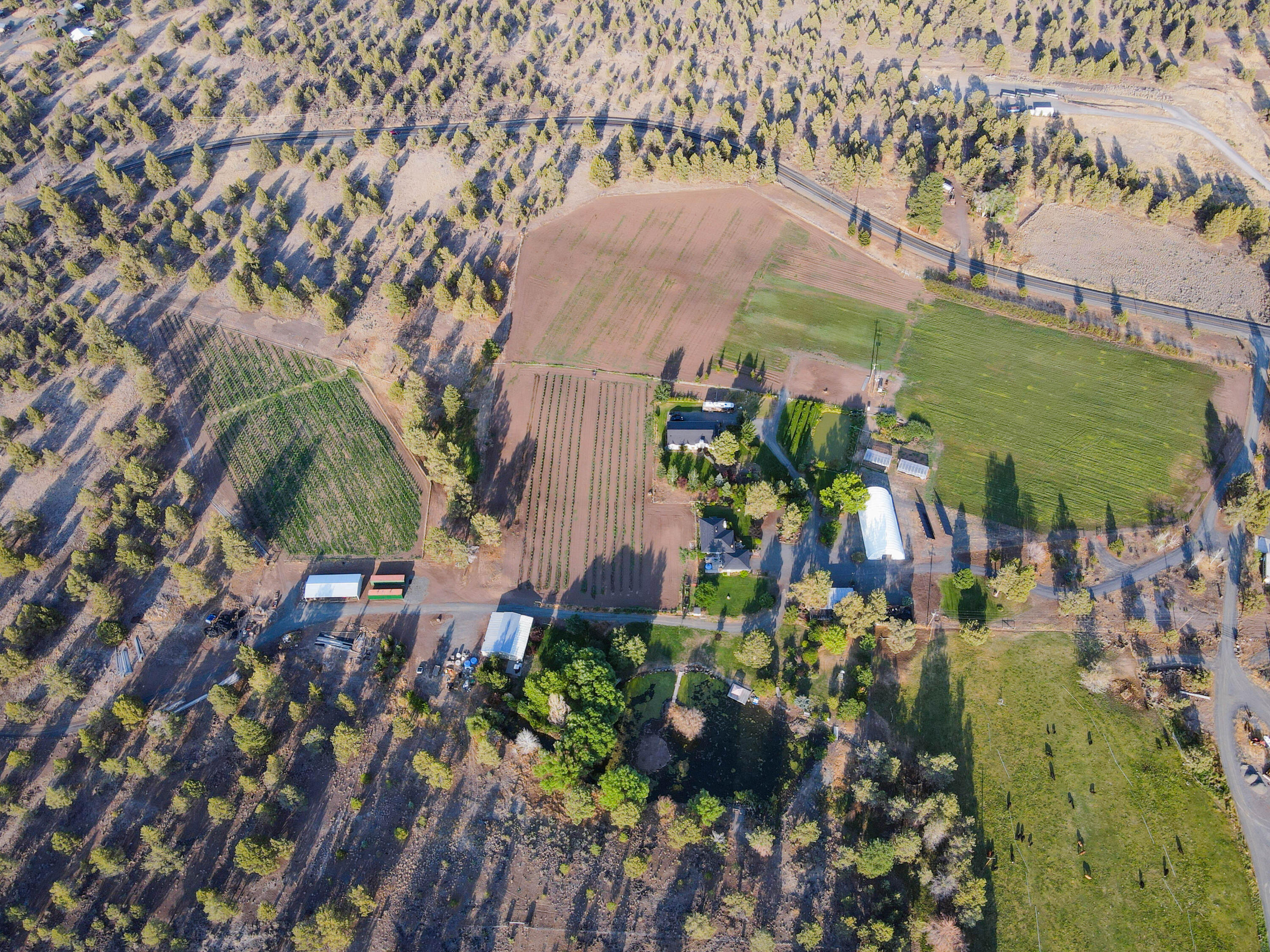 Bonanza - Land