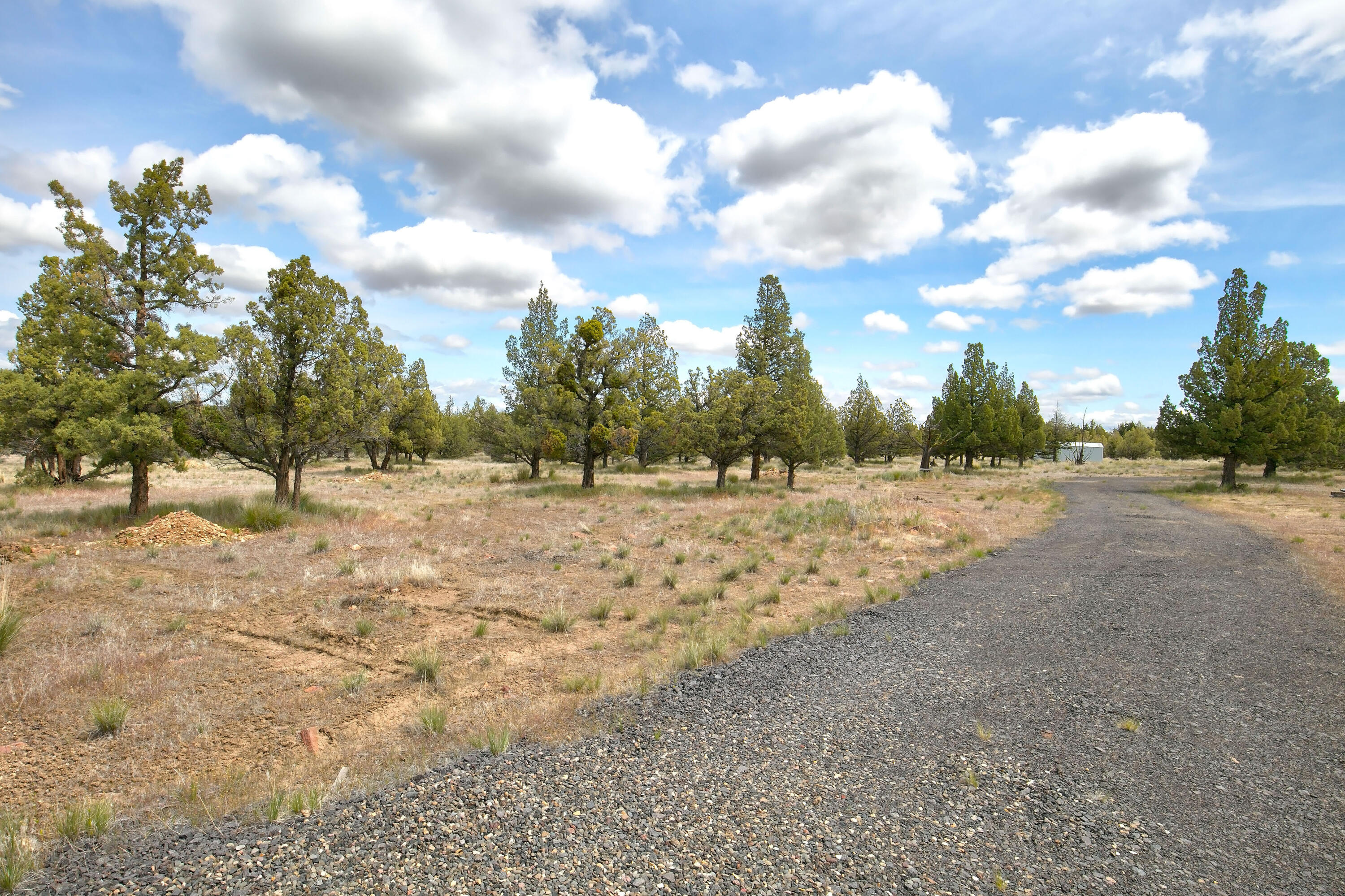 Mtn View Estate - Land