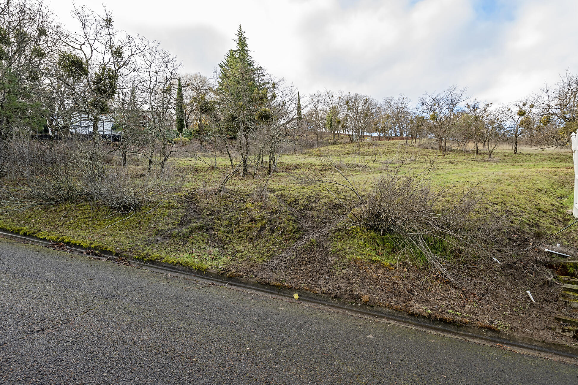 Via Loma Linda Subdivision - Land