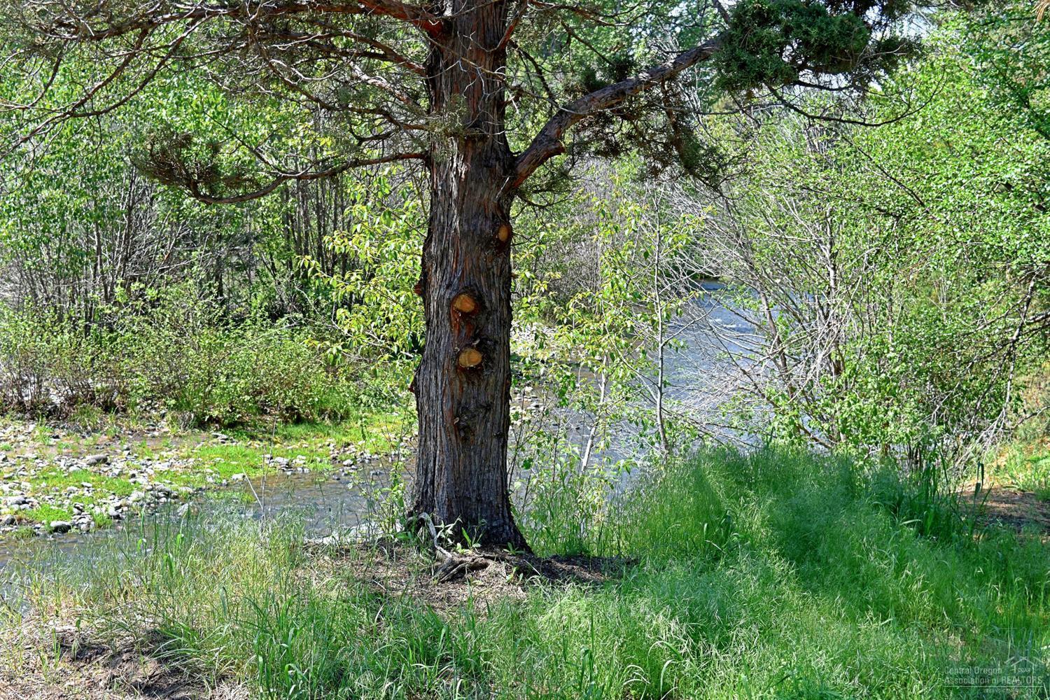 Timber Creek - Land