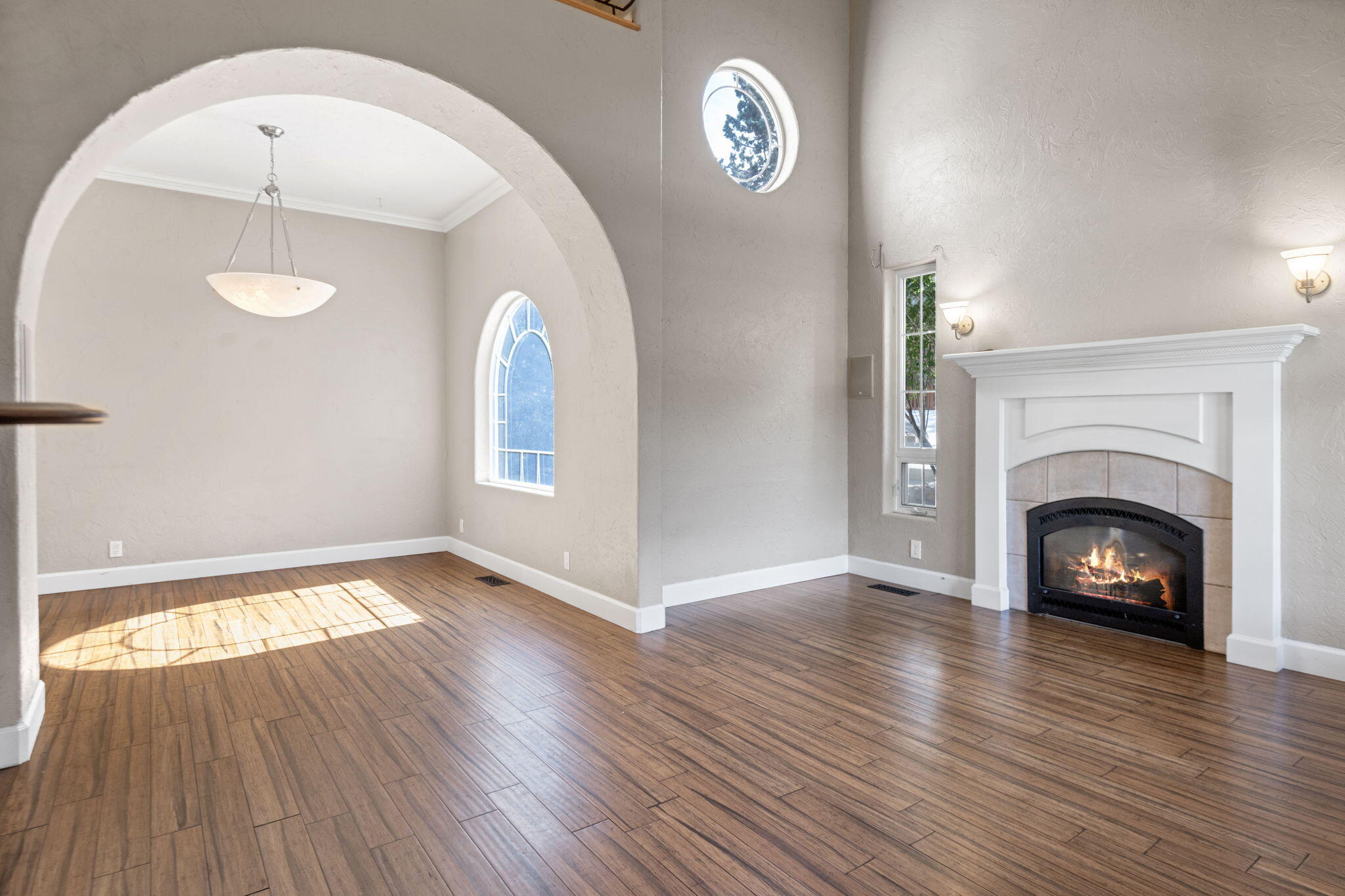 Oak Tree - Residential