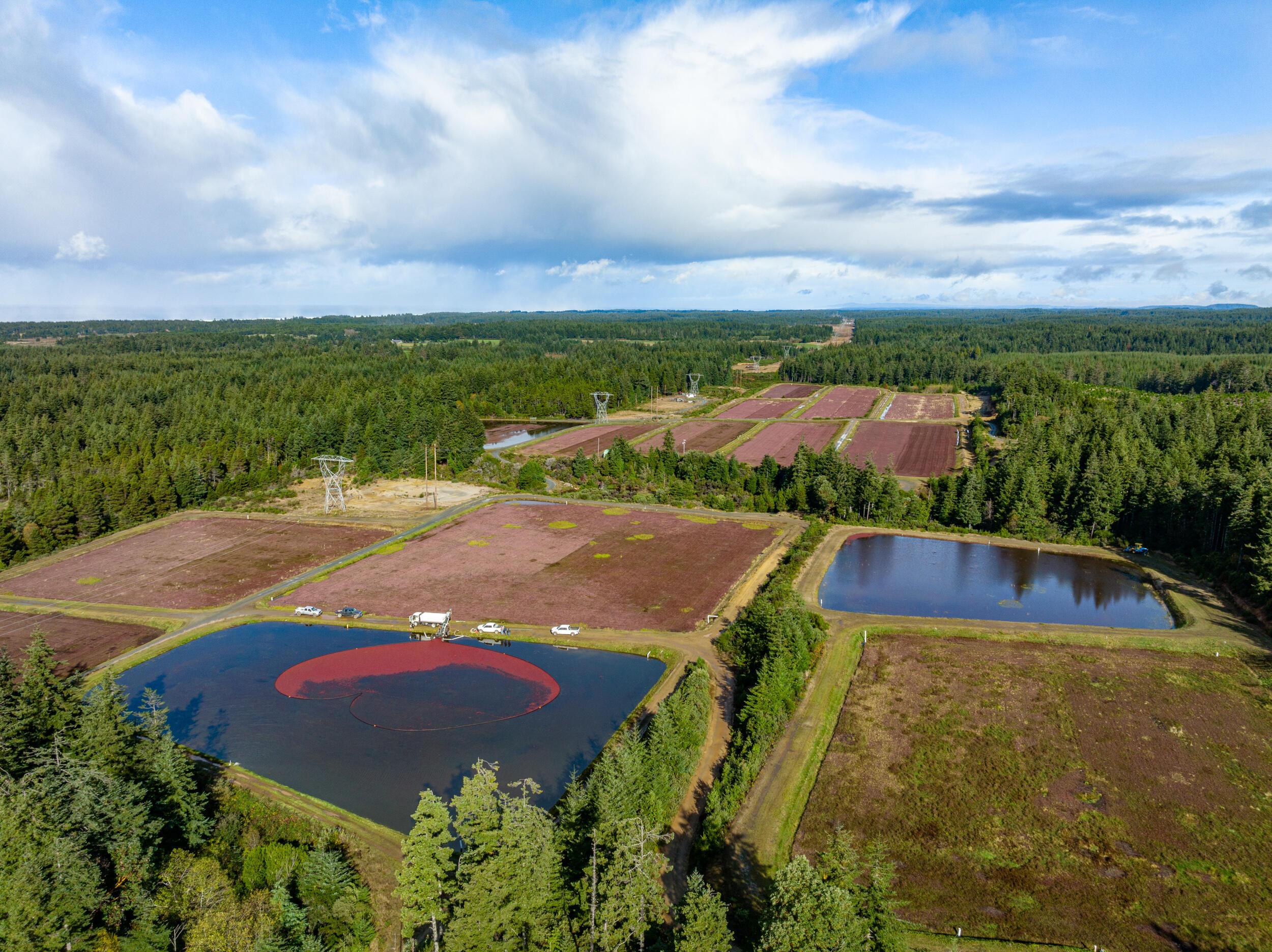 Laurel Creek Cranberry Farm totals 145.82 acres and includes an estate dwelling, second home, shop/barn, machine shed, just over 46 net acres of cranberries across 28 bogs, and more! There are well established & maintained roads, as well as a very private & picturesque setting. The cranberries being produced are exclusively Stevens varietal berries. The farm has 51.10 acres of primary water rights & storage rights for 28.5 acre feet. The irrigation system is organized into 6 reservoirs. The executive-style main home has vaulted ceilings, multiple master suites, large bonus room, & more. Outside is a large west facing deck, ample parking, & a beautiful view of the farm below & distant mountains. The 2nd home is a manufactured home that totals 2,640 SF that offers loads of space w/more opportunities for rental income or large space for housing of farm managers, plus has an attached garage & ample lawn & garden space.