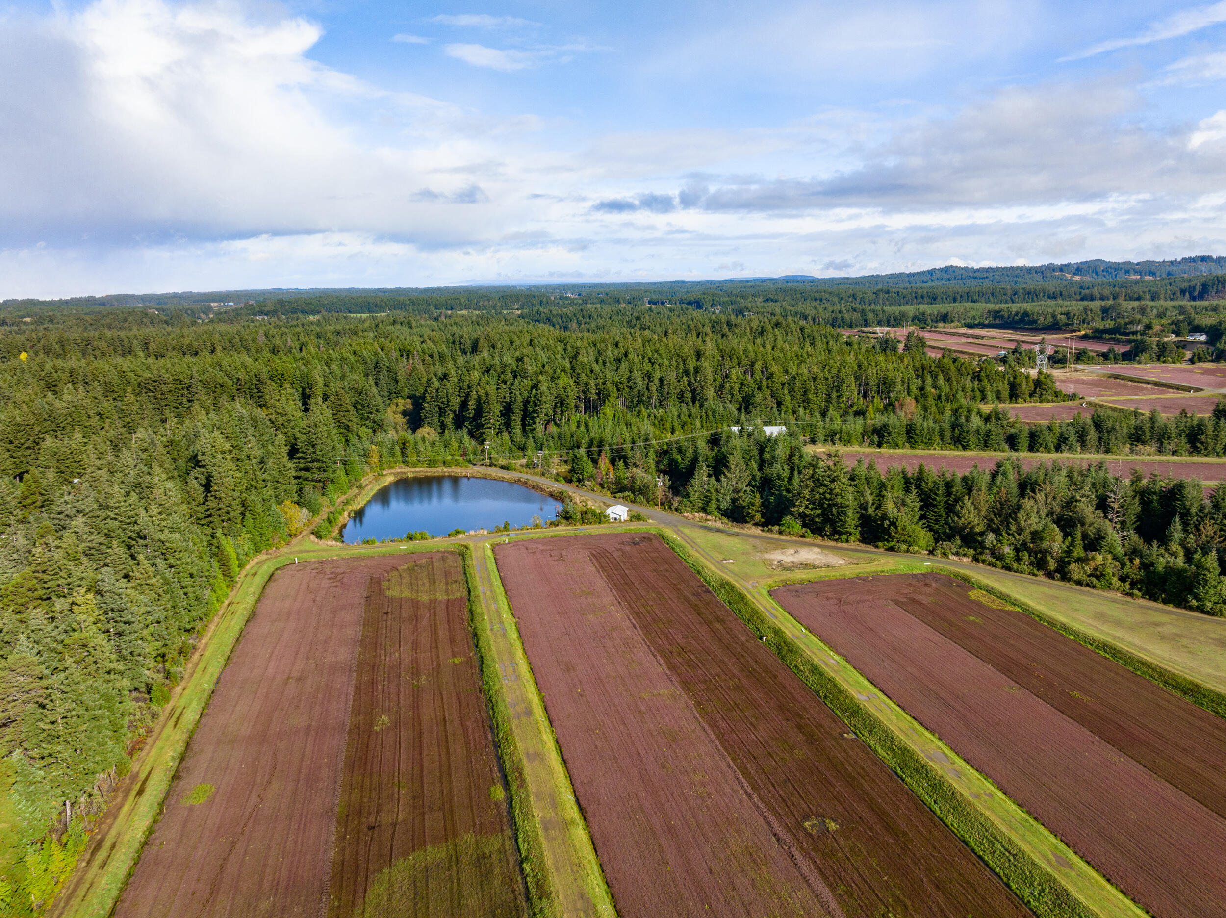 N/A - Farm