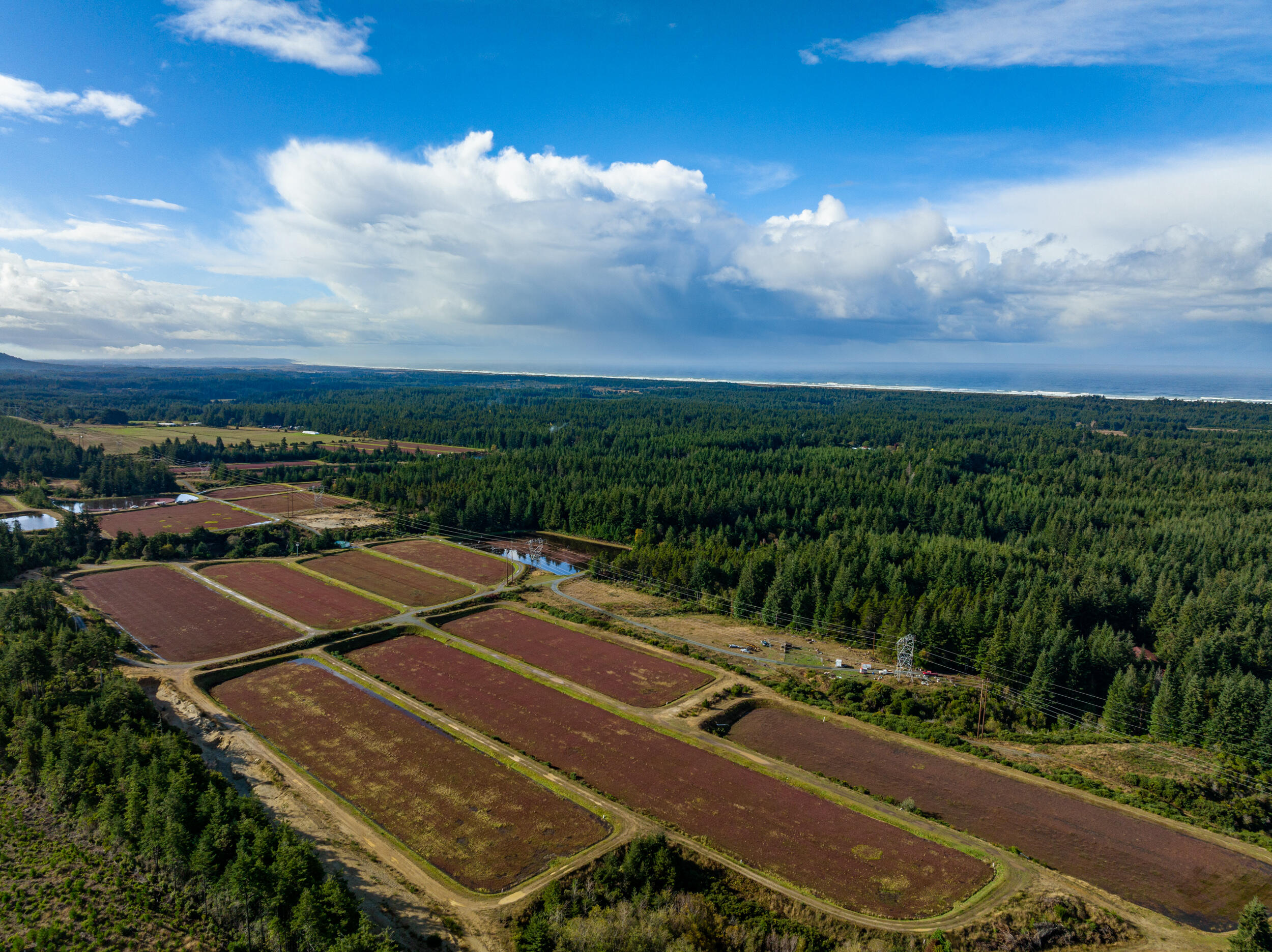 N/A - Farm