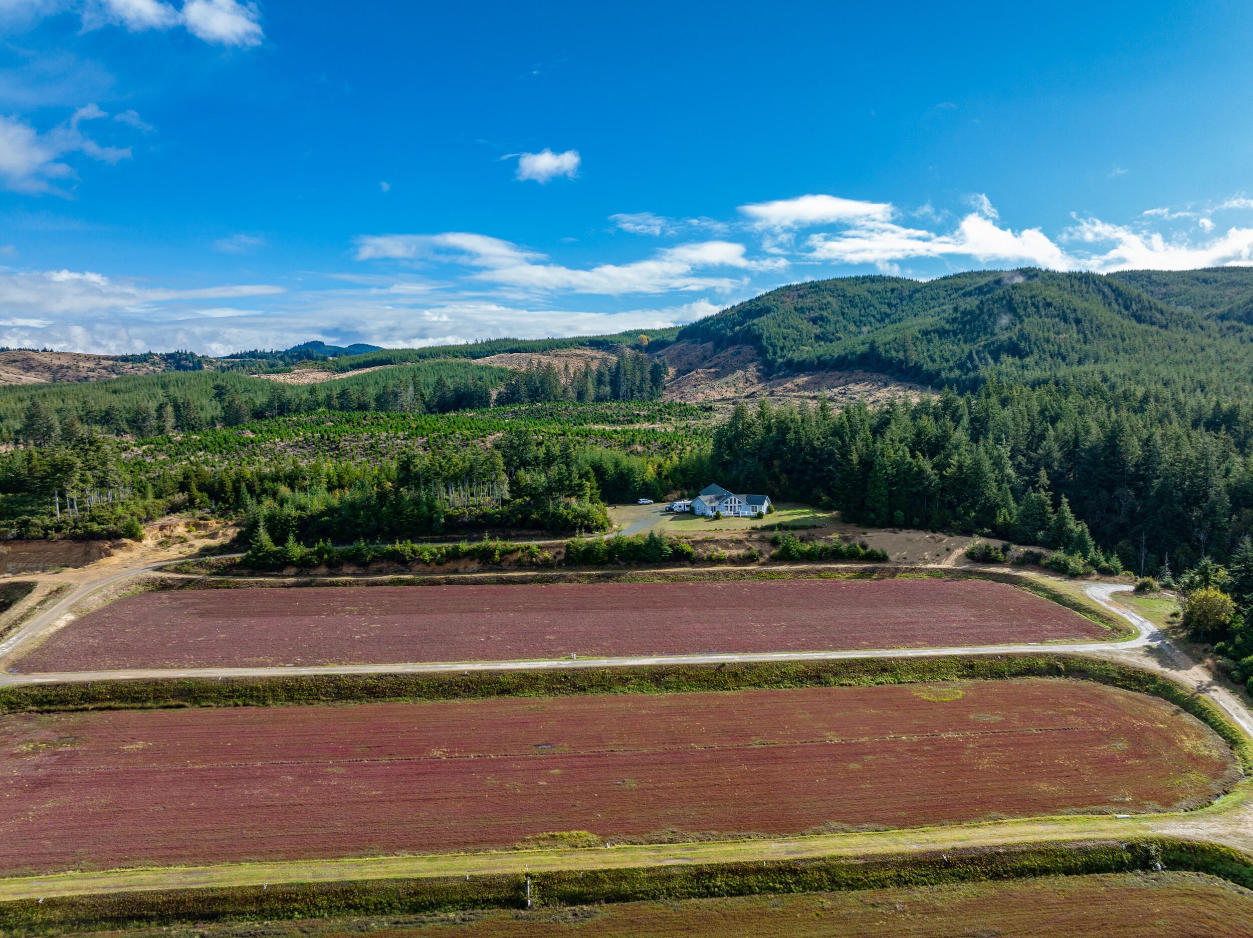N/A - Farm
