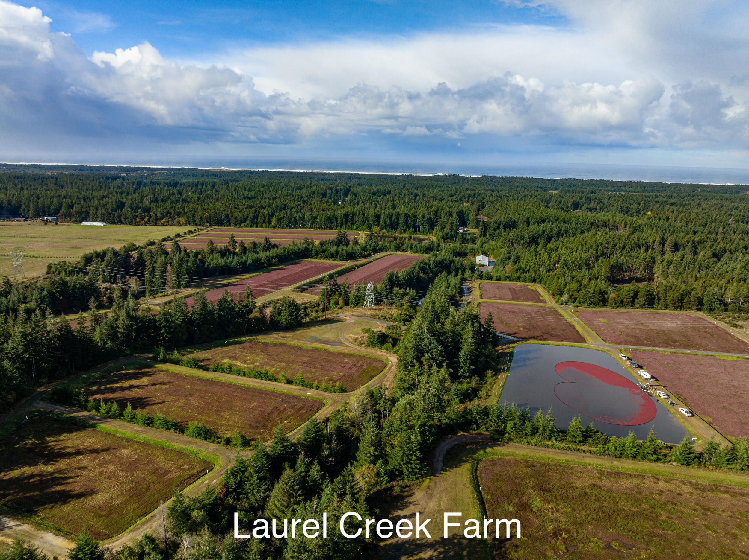 N/A - Farm