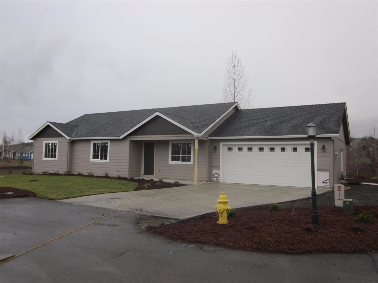 New construction located in the heart of Eagle point backing to Buchanan creek. Enter the home to a large vaulted family room, open kitchen with granite island, granite counter tops installed throughout the home, huge separate pantry, laundry room with extra storage and master bedroom with pond views. The home backs to wetlands and the builder has elected to leave the back yard open to enjoy the wildlife. Property is completed & landscaped. This home is turnkey.